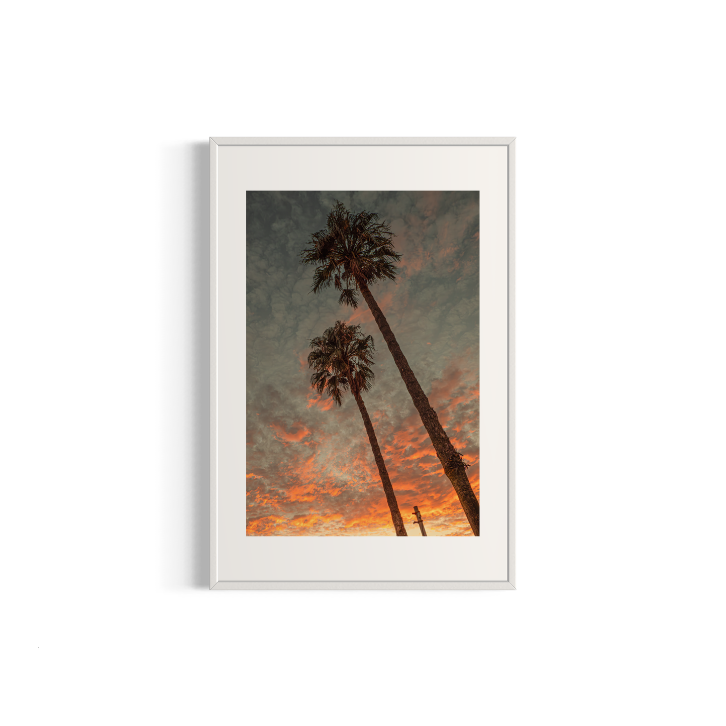 NOMO NOPRO 40 x 60 cm / Cadre Aluminium Blanc Tirage "PALMTREES" L'Almanarre n°1