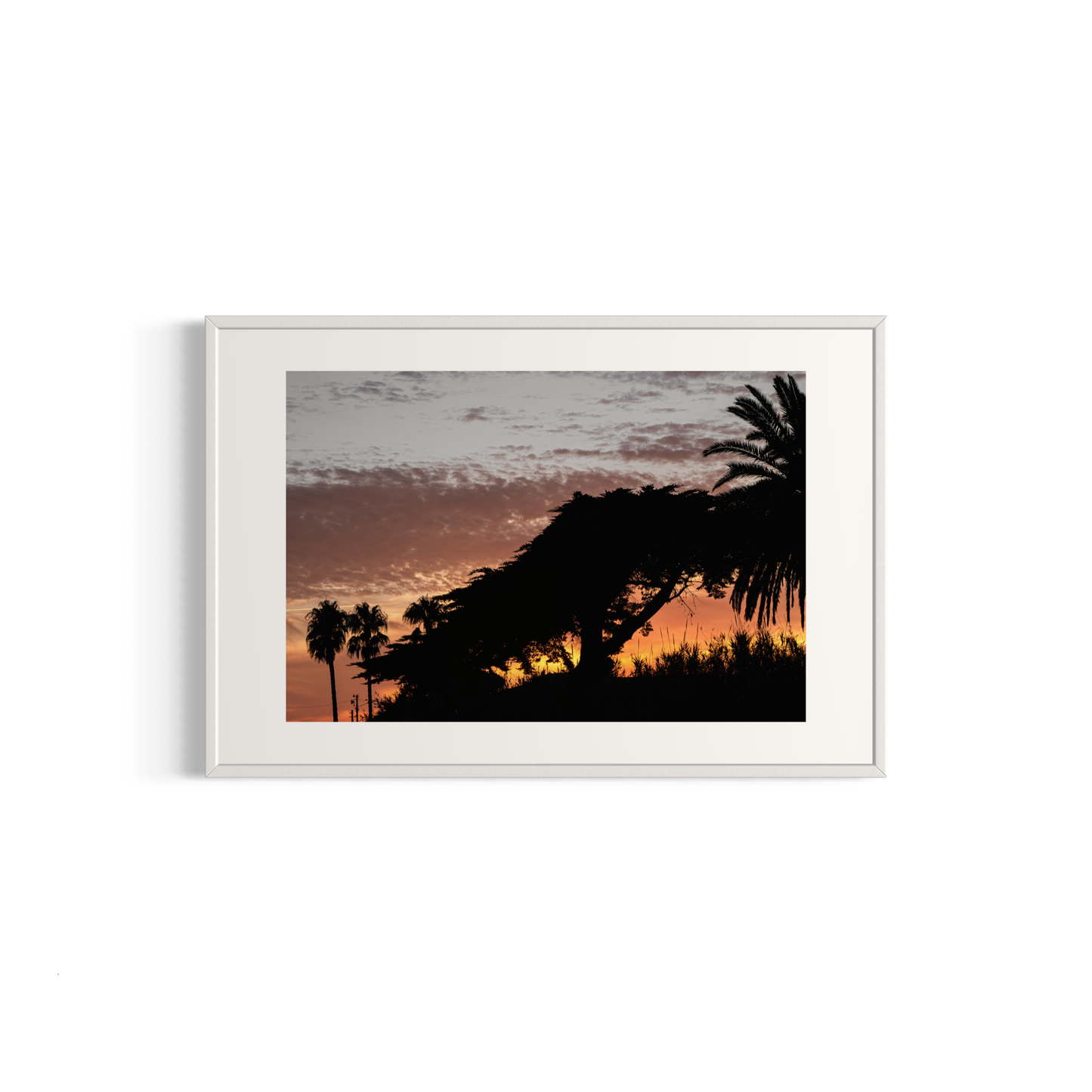 NOMO NOPRO 40 x 60 cm / Cadre Aluminium Blanc Tirage "PALMTREES" L'Almanarre n°4