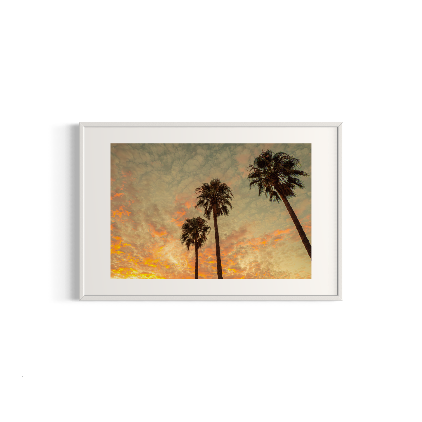 NOMO NOPRO 40 x 60 cm / Cadre Aluminium Blanc Tirage "PALMTREES" L'Almanarre n°7