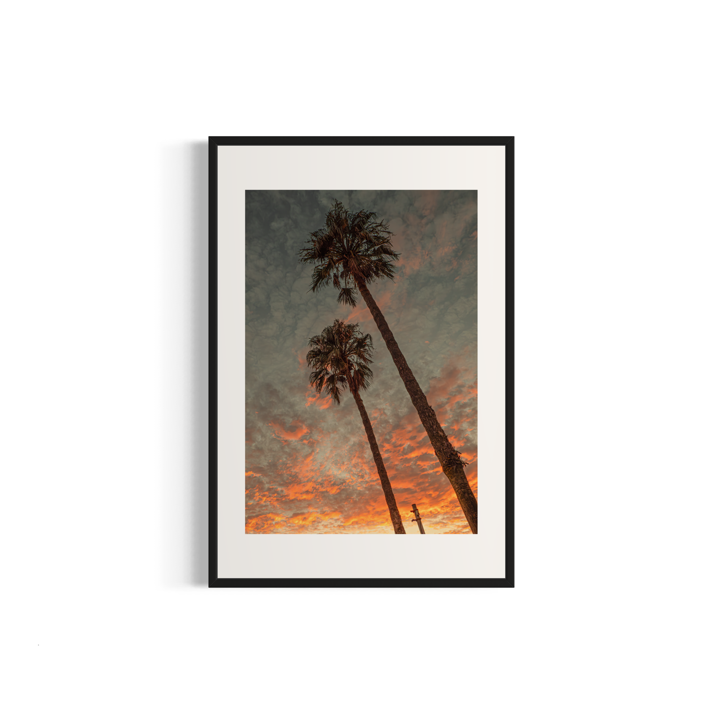 NOMO NOPRO 40 x 60 cm / Cadre Aluminium Noir Tirage "PALMTREES" L'Almanarre n°1