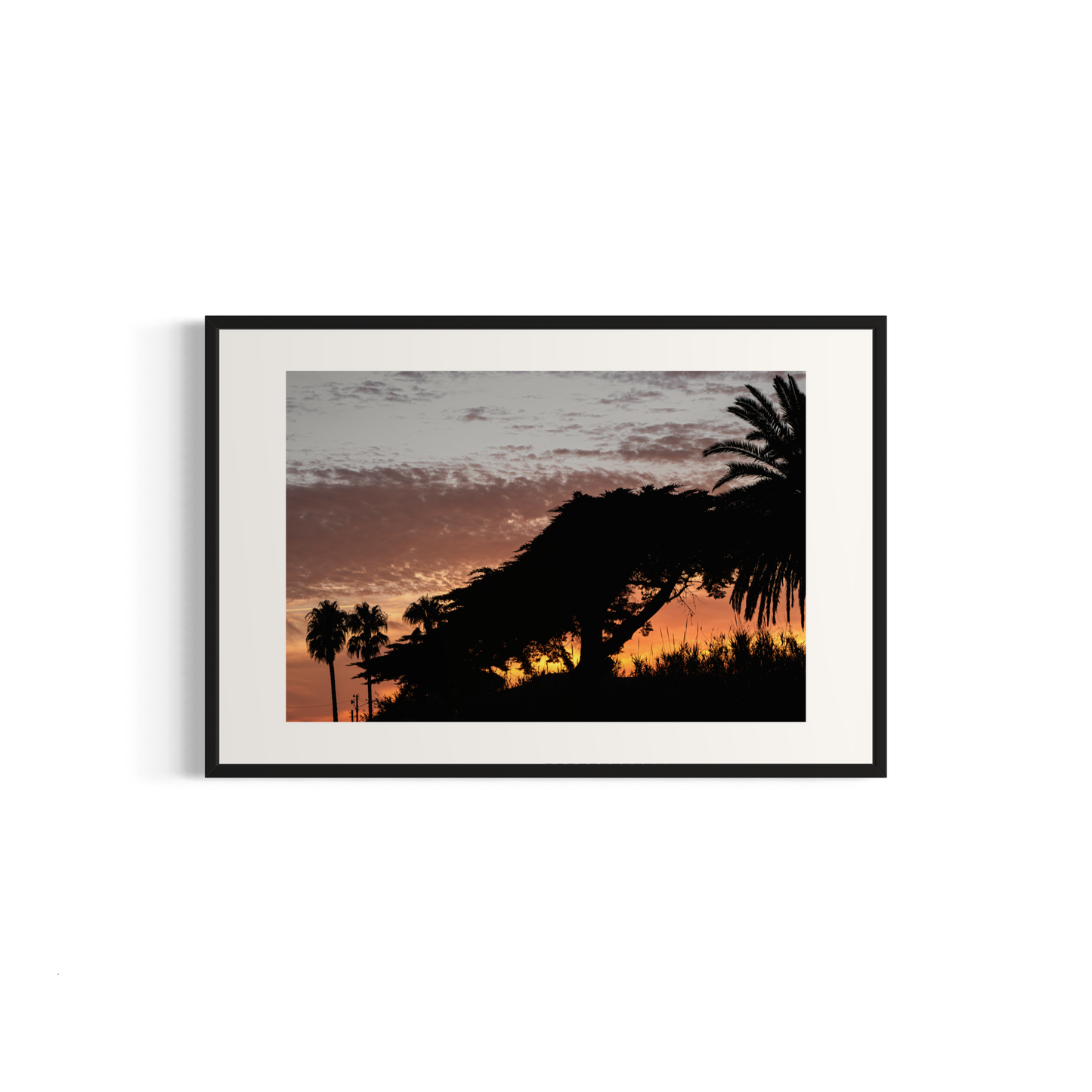 NOMO NOPRO 40 x 60 cm / Cadre Aluminium Noir Tirage "PALMTREES" L'Almanarre n°4