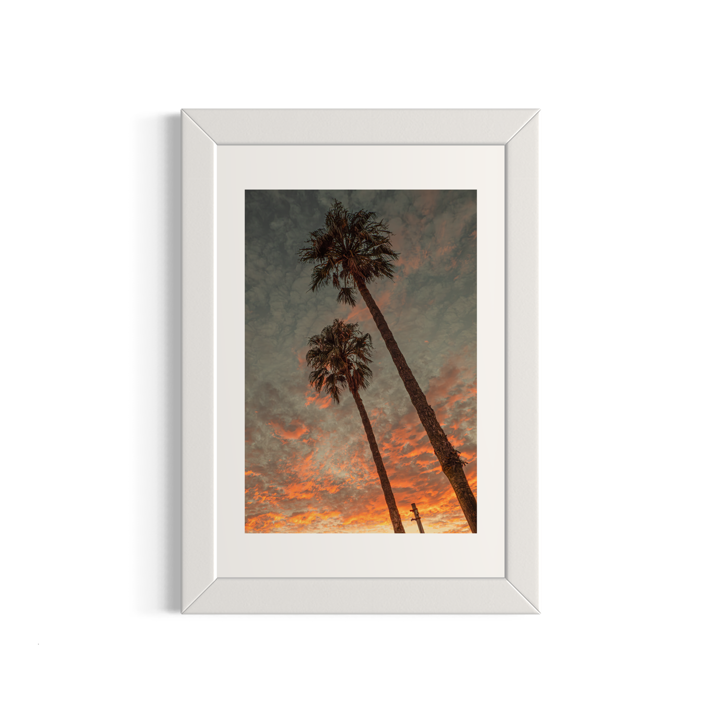 NOMO NOPRO 40 x 60 cm / Cadre Bois Blanc Tirage "PALMTREES" L'Almanarre n°1