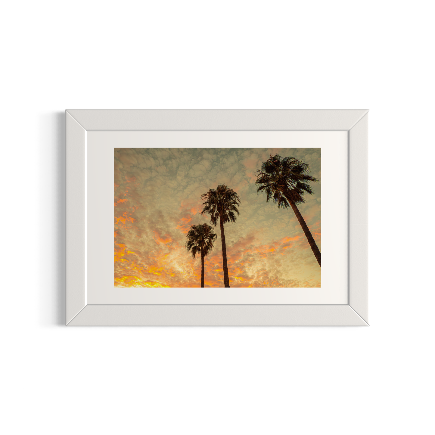 NOMO NOPRO 40 x 60 cm / Cadre Bois Blanc Tirage "PALMTREES" L'Almanarre n°7