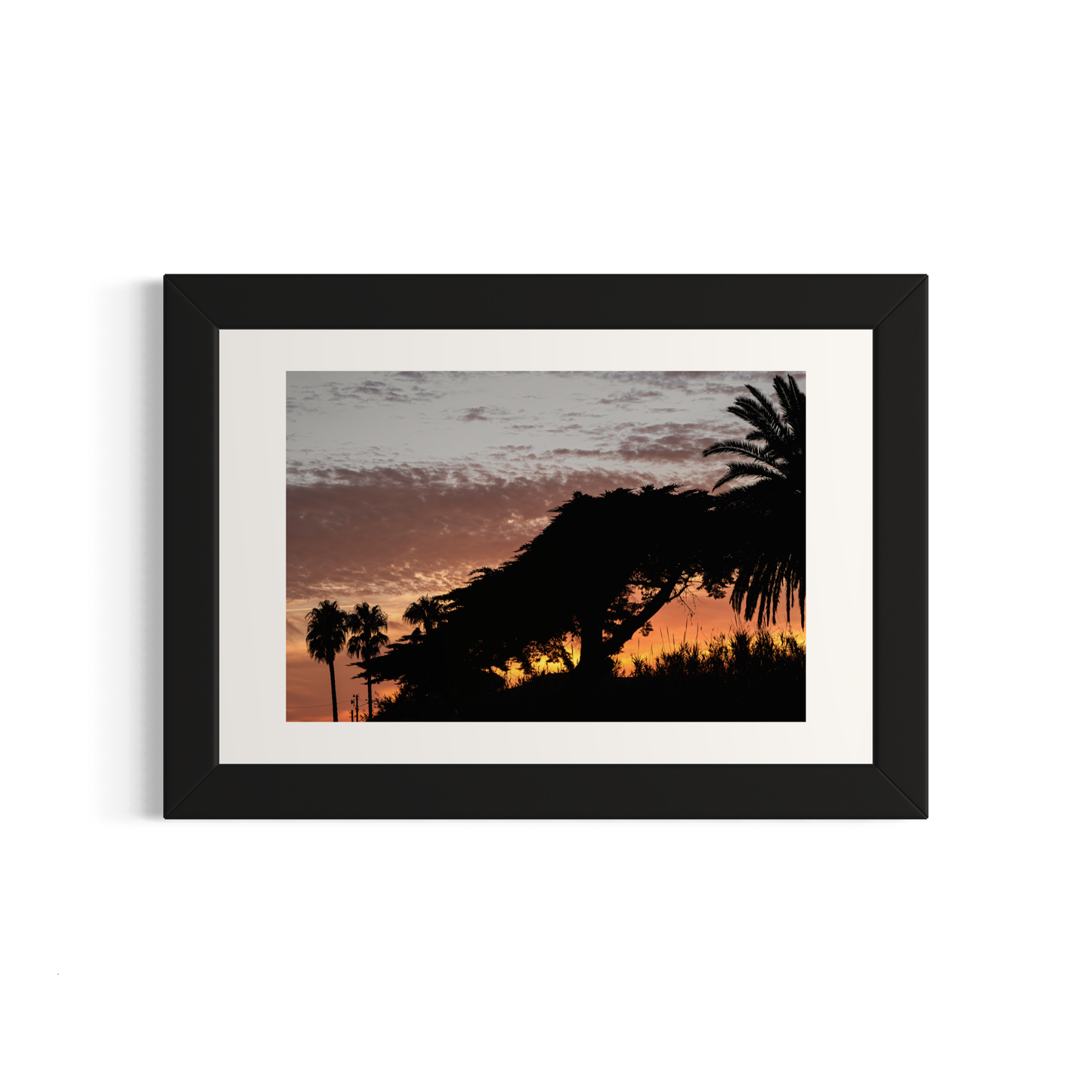 NOMO NOPRO 40 x 60 cm / Cadre Bois Noir Tirage "PALMTREES" L'Almanarre n°4