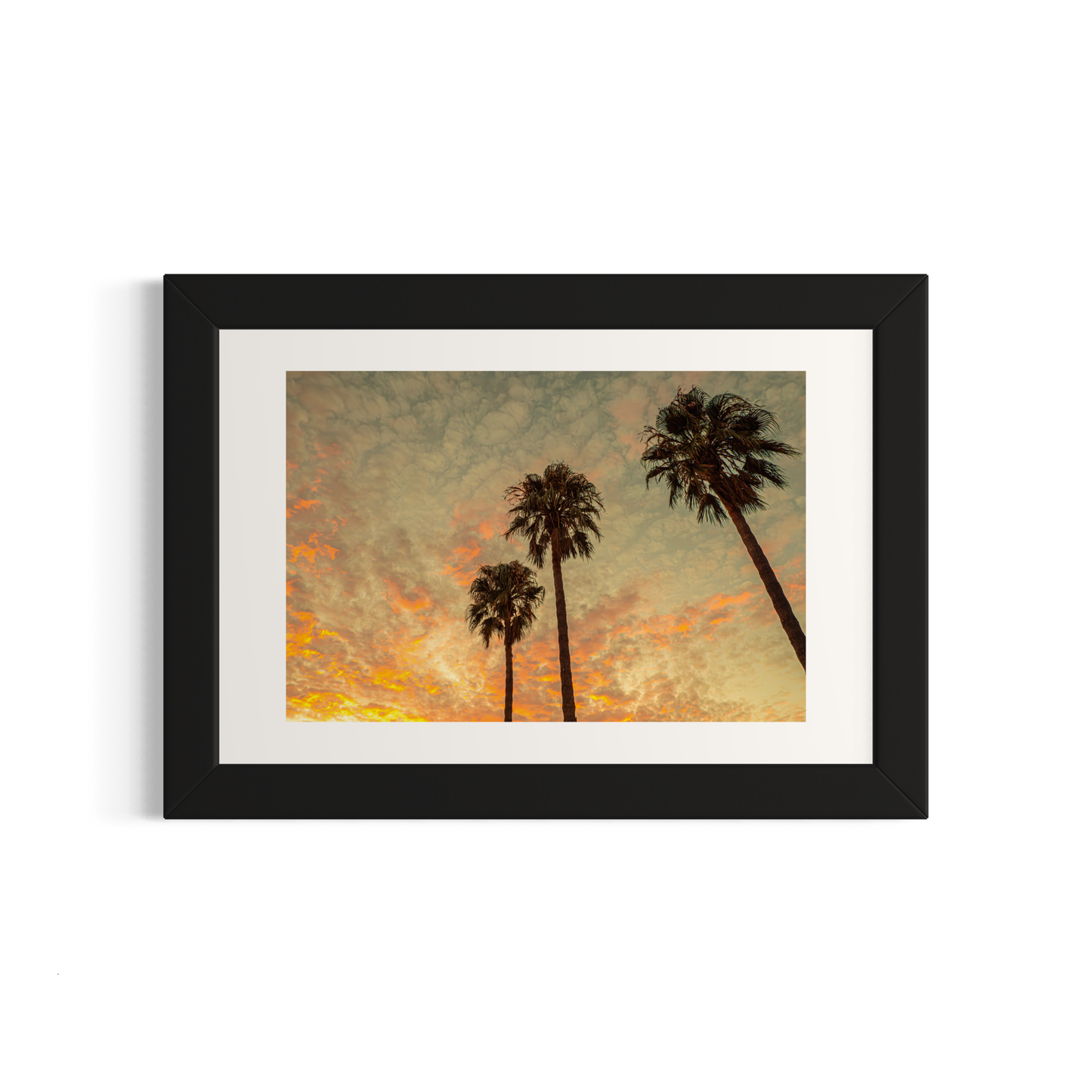 NOMO NOPRO 40 x 60 cm / Cadre Bois Noir Tirage "PALMTREES" L'Almanarre n°7
