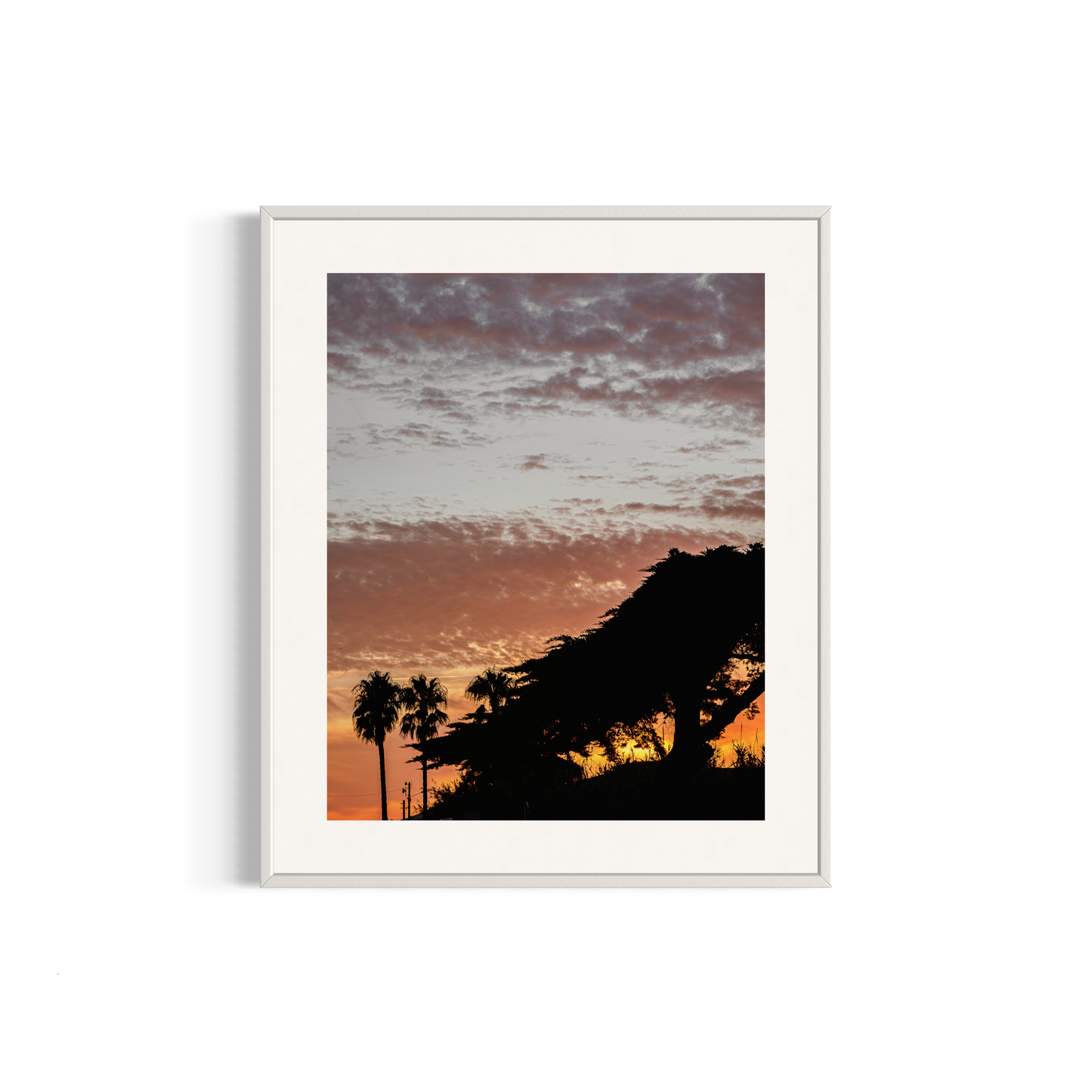NOMO NOPRO 50 x 60 cm / Cadre Alu Blanc Tirage "PALMTREES" L'Almanarre n°3