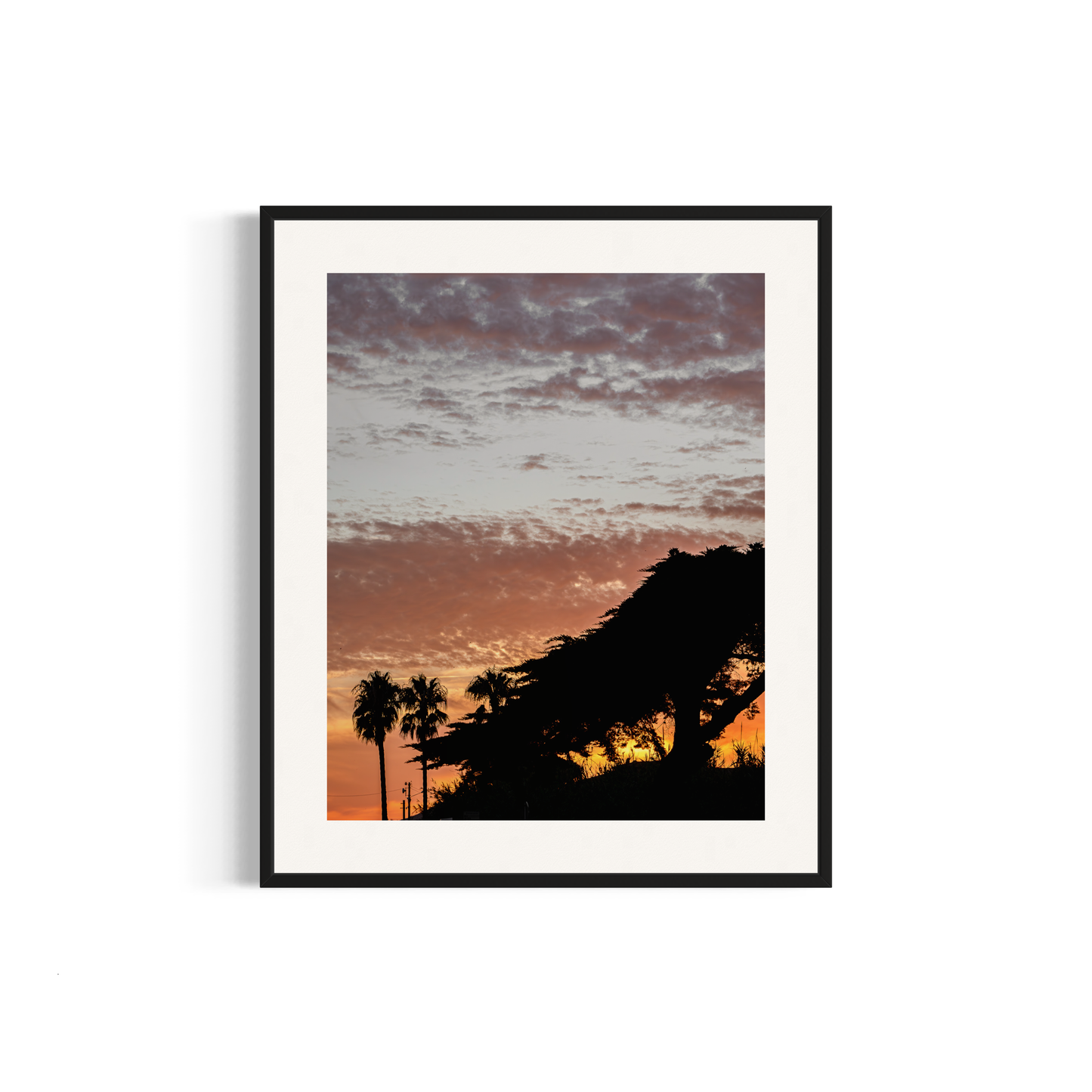 NOMO NOPRO 50 x 60 cm / Cadre Alu Noir Tirage "PALMTREES" L'Almanarre n°3