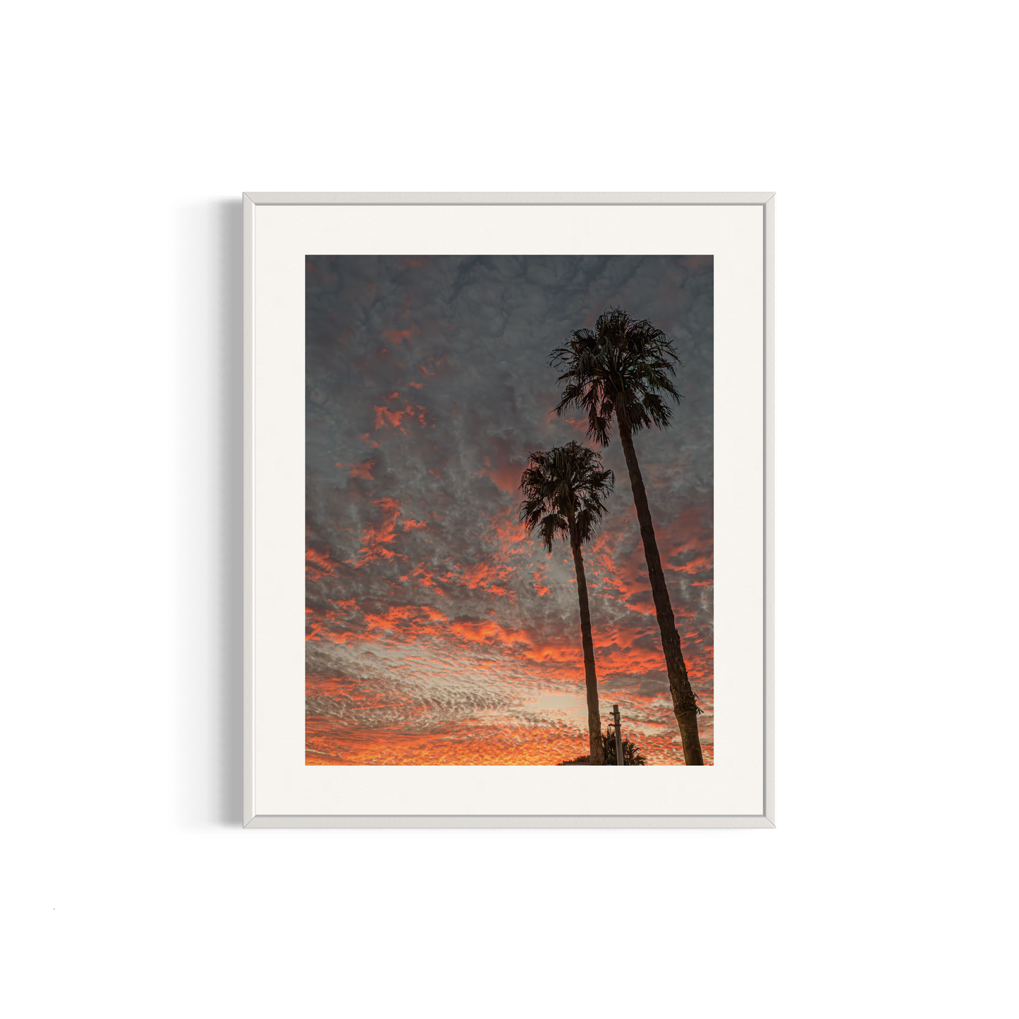 NOMO NOPRO 50 x 60 cm / Cadre Aluminium Blanc Tirage "PALMTREES" L'Almanarre n°6
