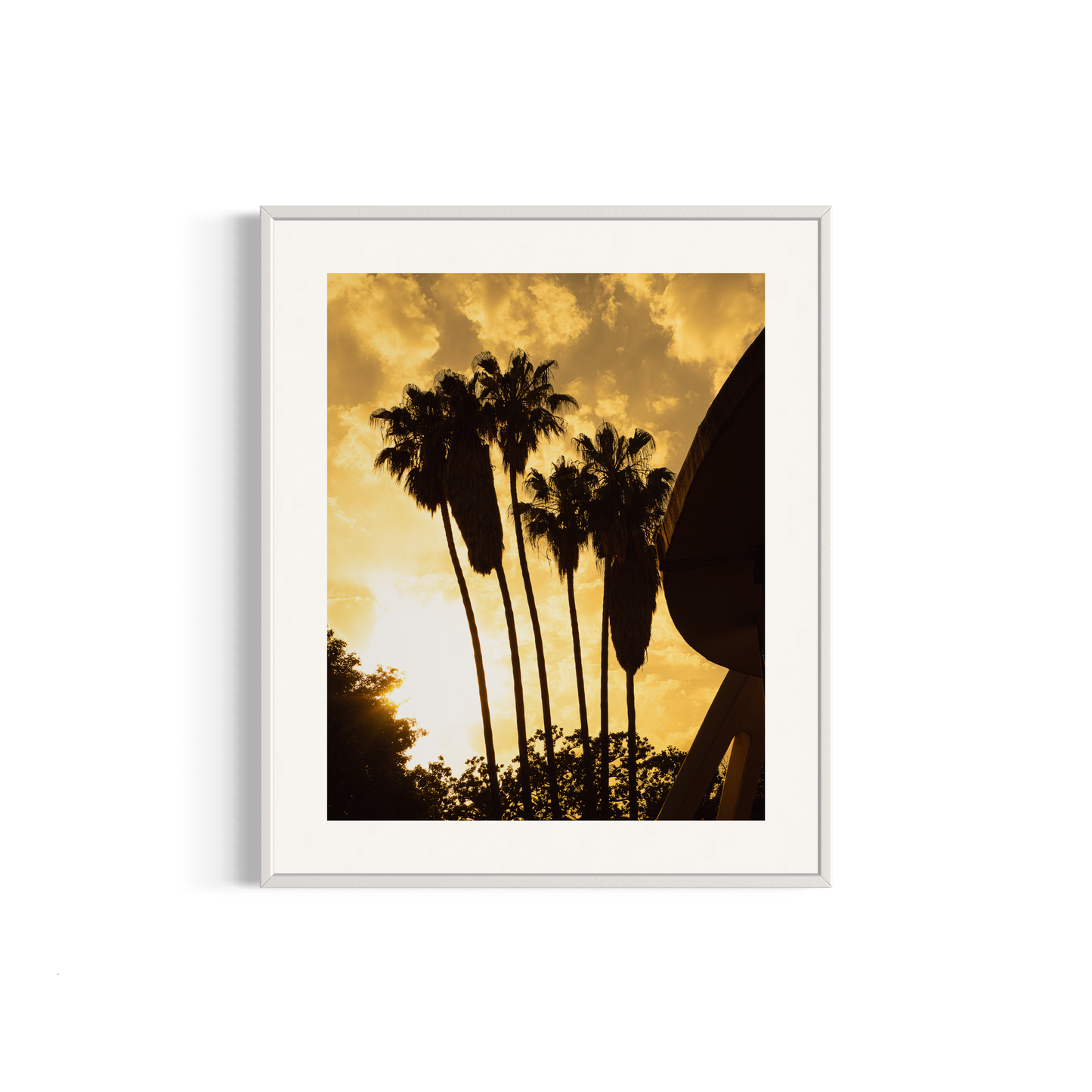 NOMO NOPRO 50 x 60 cm / Cadre Aluminium Blanc Tirage "PALMTREES" Málaga n°3