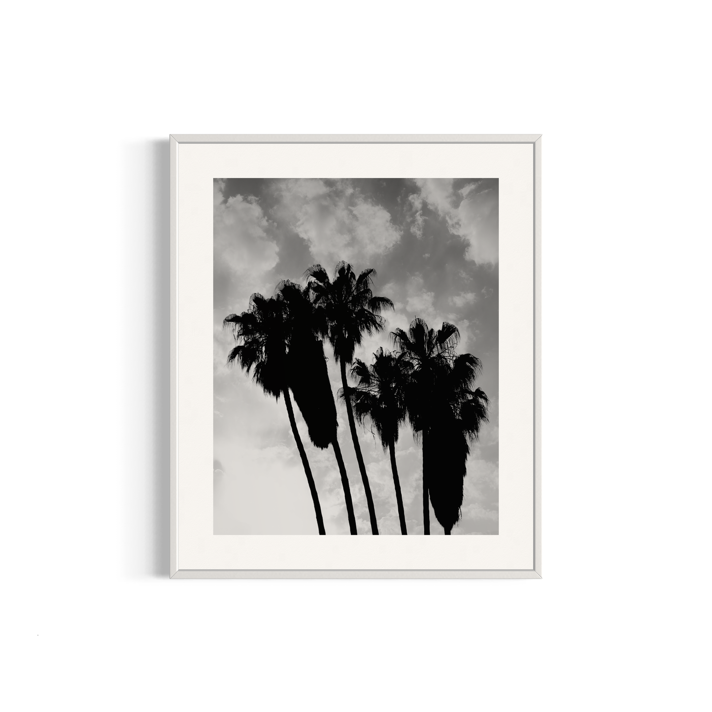 NOMO NOPRO 50 x 60 cm / Cadre Aluminium Blanc Tirage "PALMTREES" Málaga n°4