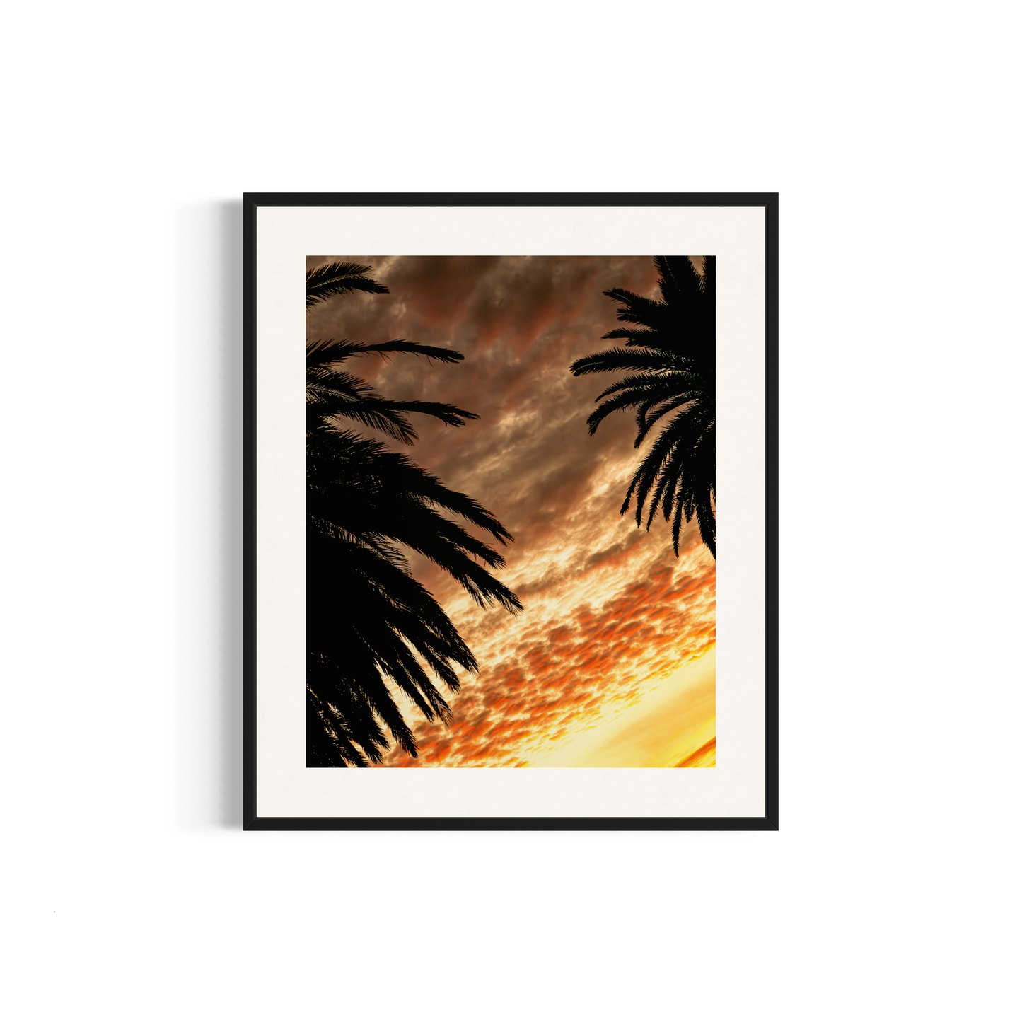 NOMO NOPRO 50 x 60 cm / Cadre Aluminium Noir Tirage "PALMTREES" L'Almanarre n°2