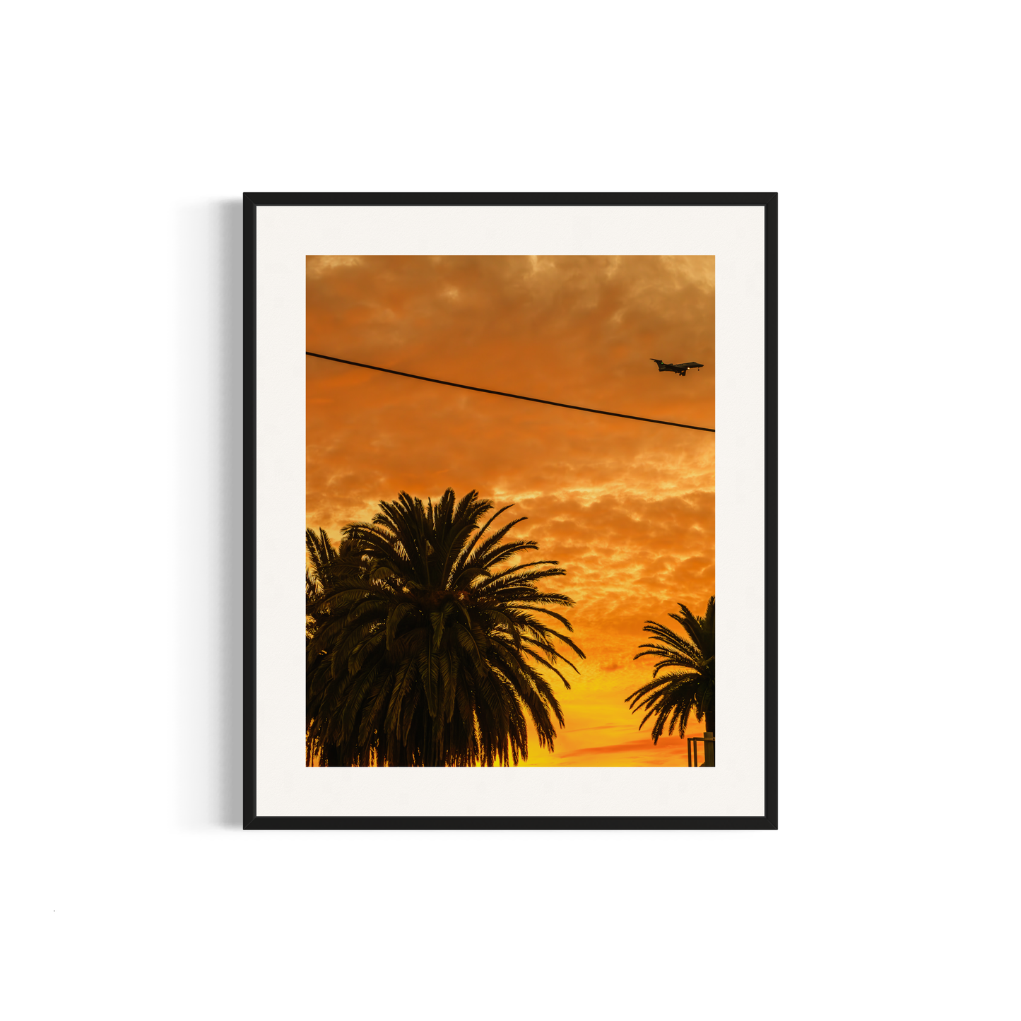 NOMO NOPRO 50 x 60 cm / Cadre Aluminium Noir Tirage "PALMTREES" L'Almanarre n°5