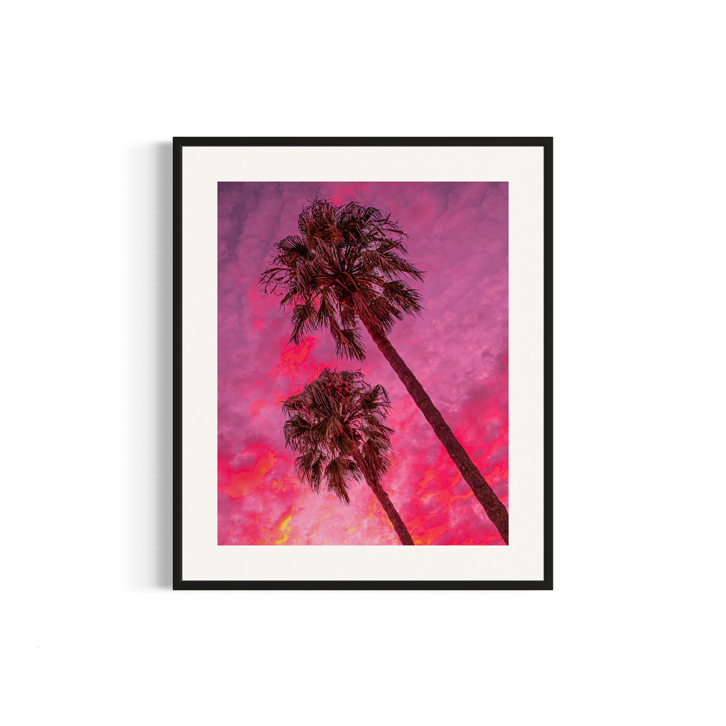 NOMO NOPRO 50 x 60 cm / Cadre Aluminium Noir Tirage "PALMTREES" L'Almanarre n°8