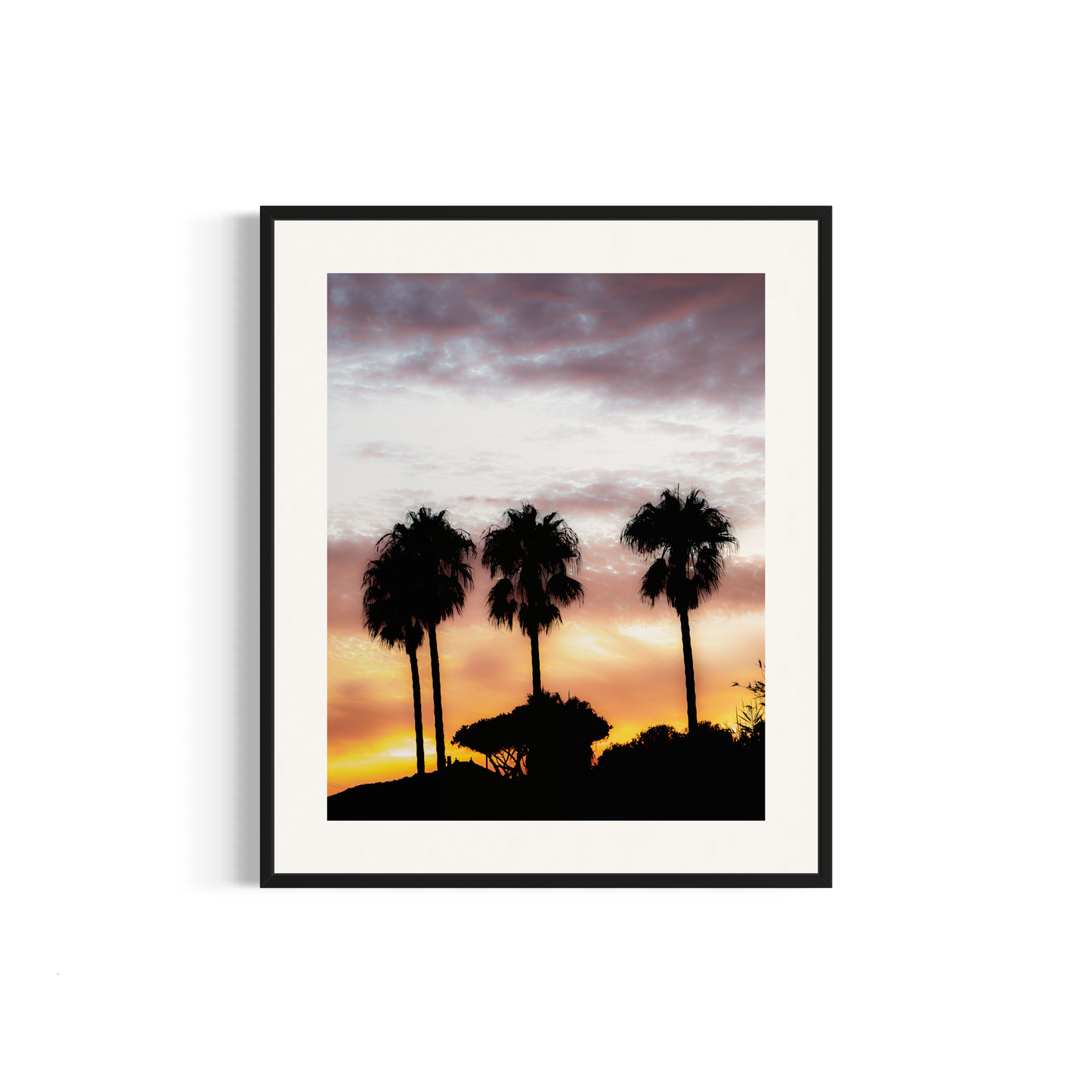 NOMO NOPRO 50 x 60 cm / Cadre Aluminium Noir Tirage "PALMTREES" L'Almanarre n°9