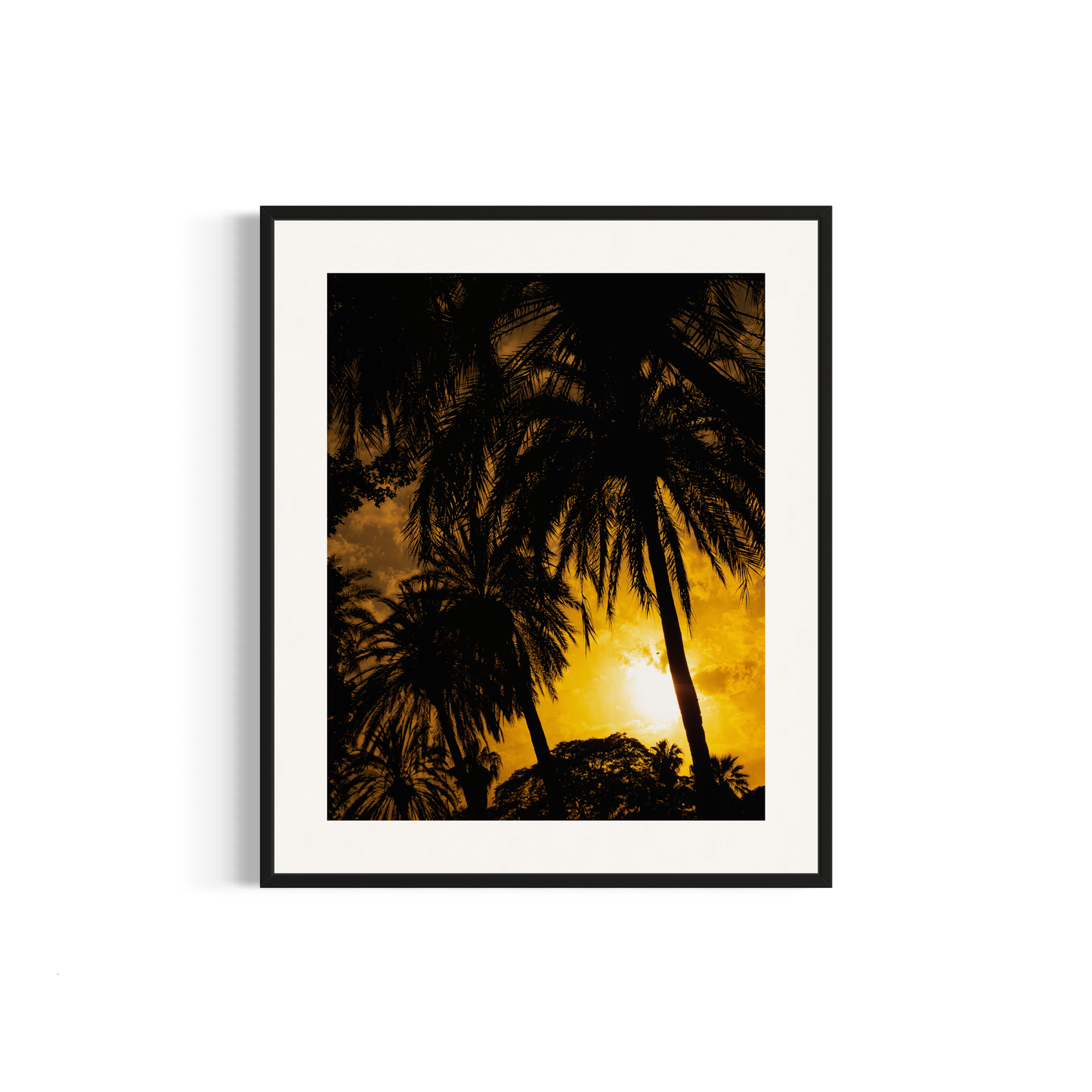 NOMO NOPRO 50 X 60 cm / Cadre Aluminium Noir Tirage "PALMTREES" Málaga n°1