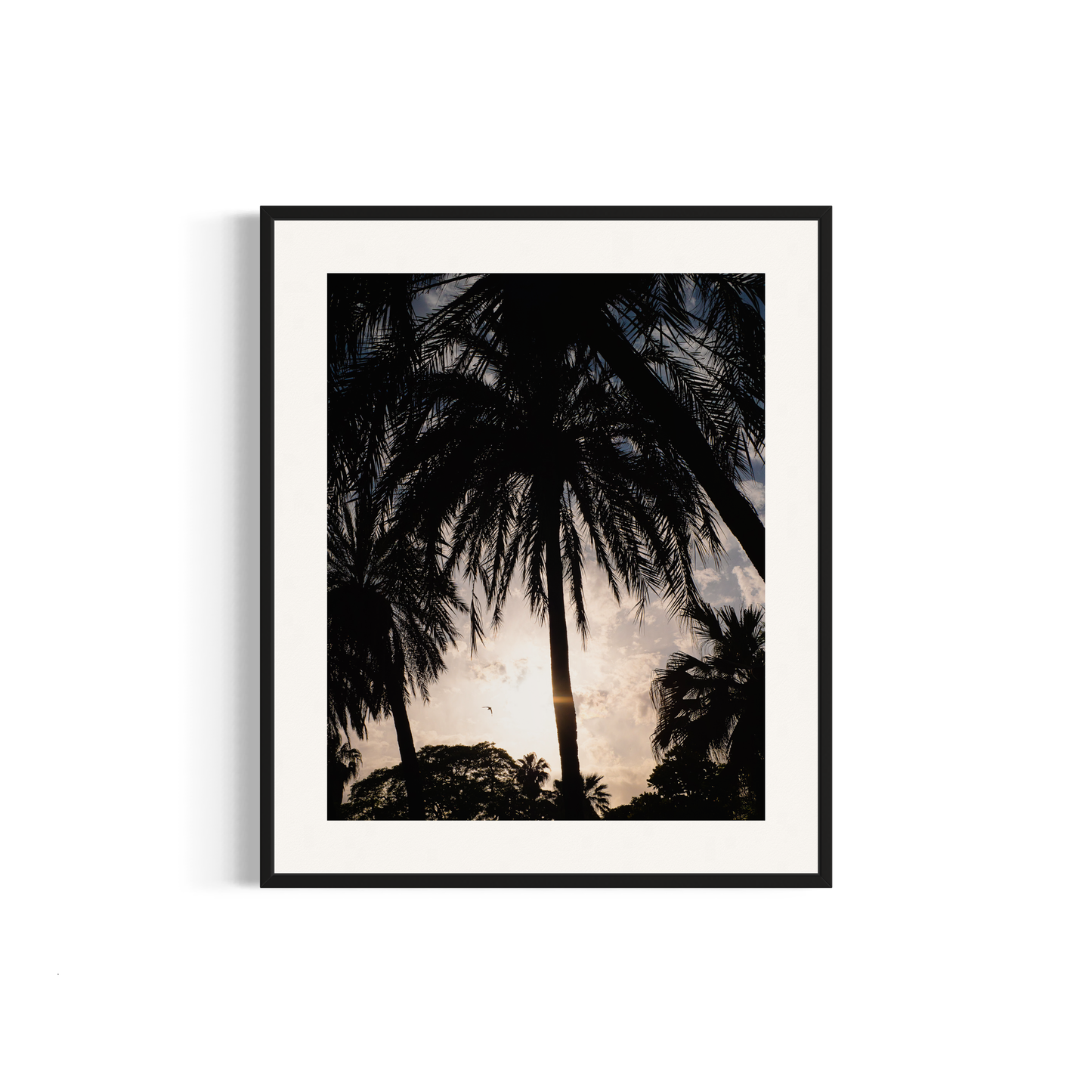 NOMO NOPRO 50 x 60 cm / Cadre Aluminium Noir Tirage "PALMTREES" Málaga n°2