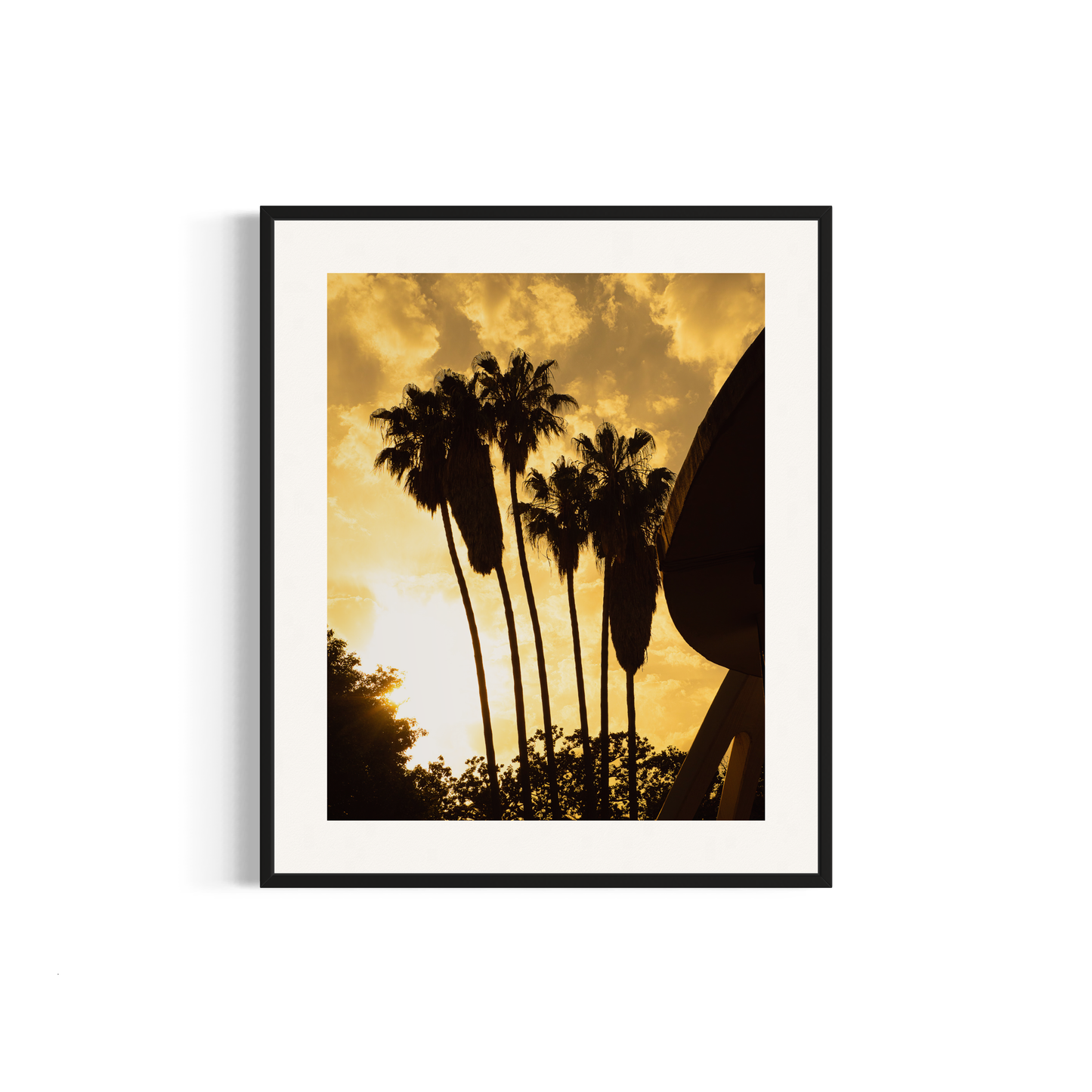 NOMO NOPRO 50 x 60 cm / Cadre Aluminium Noir Tirage "PALMTREES" Málaga n°3