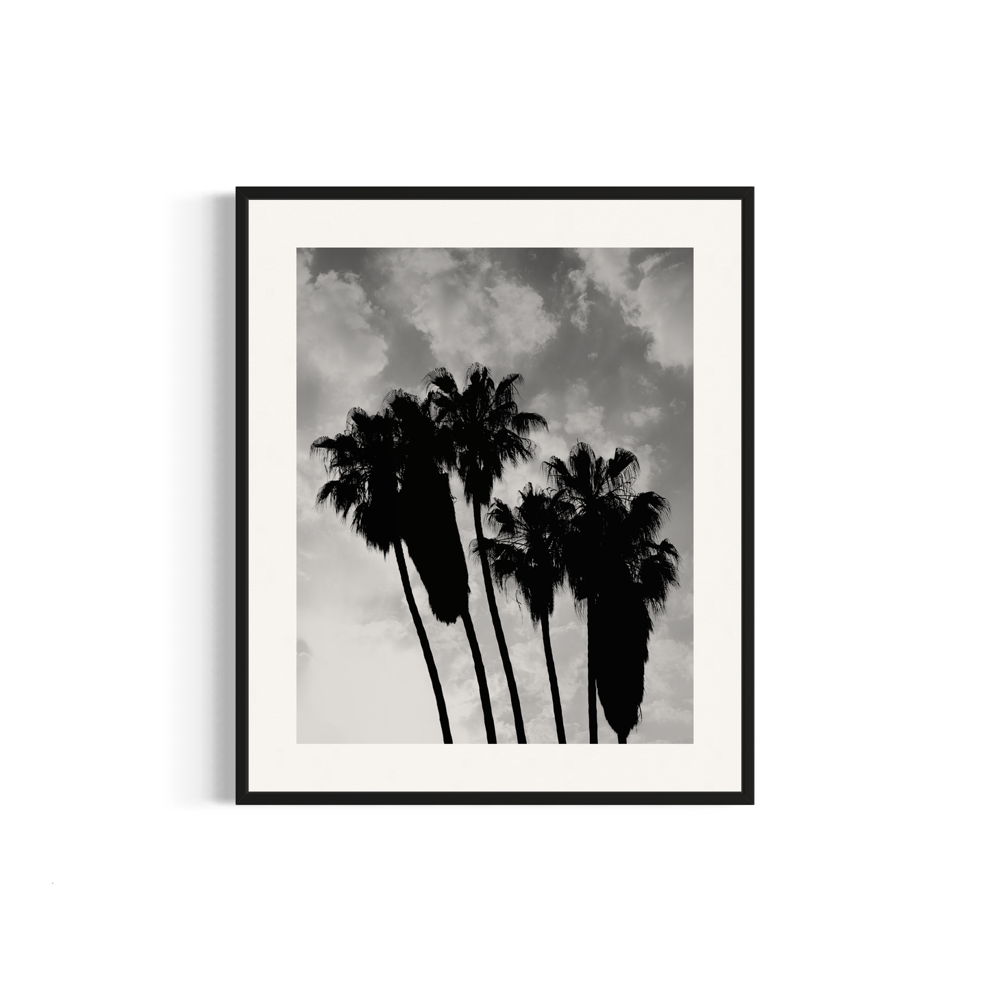 NOMO NOPRO 50 x 60 cm / Cadre Aluminium Noir Tirage "PALMTREES" Málaga n°4