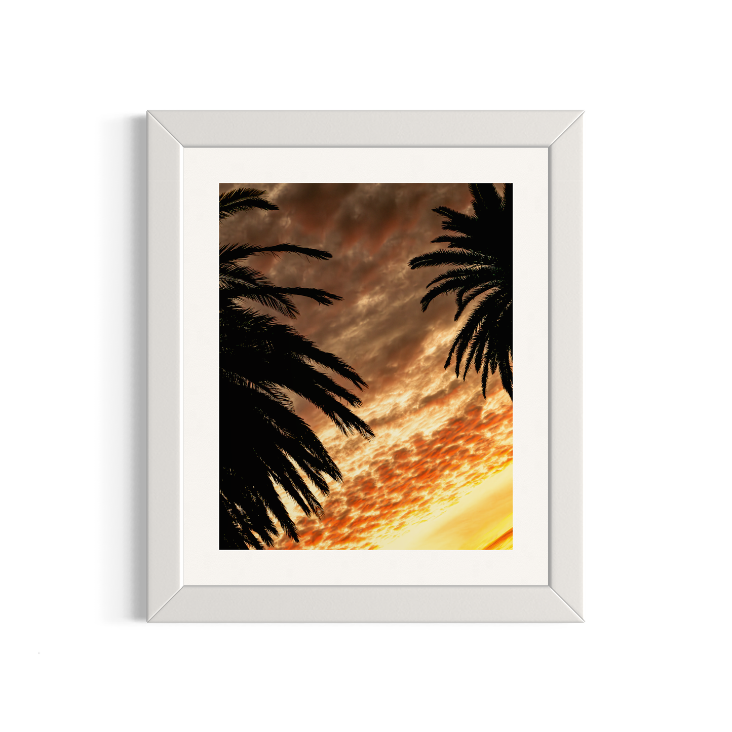 NOMO NOPRO 50 x 60 cm / Cadre Bois Blanc Tirage "PALMTREES" L'Almanarre n°2