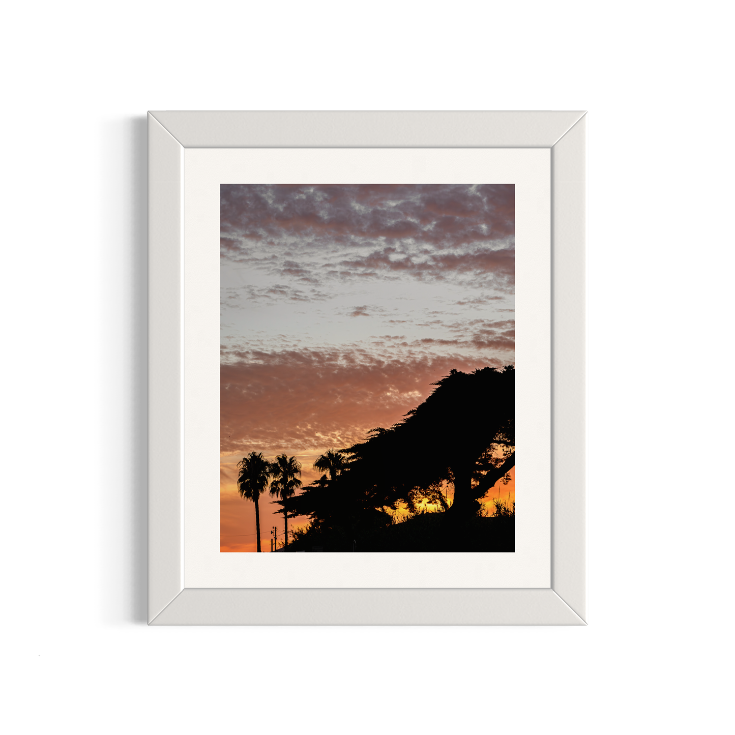 NOMO NOPRO 50 x 60 cm / Cadre Bois Blanc Tirage "PALMTREES" L'Almanarre n°3