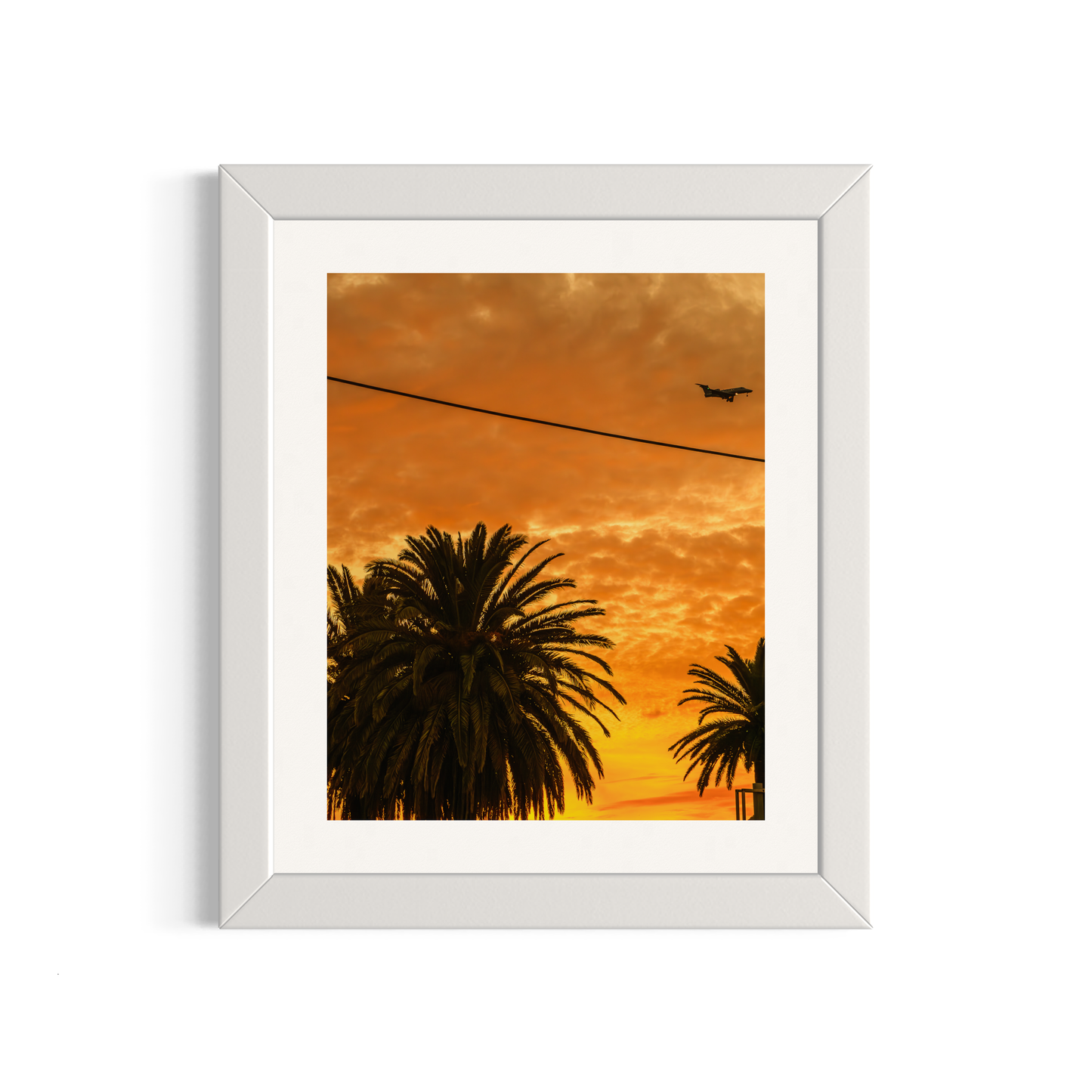 NOMO NOPRO 50 x 60 cm / Cadre Bois Blanc Tirage "PALMTREES" L'Almanarre n°5