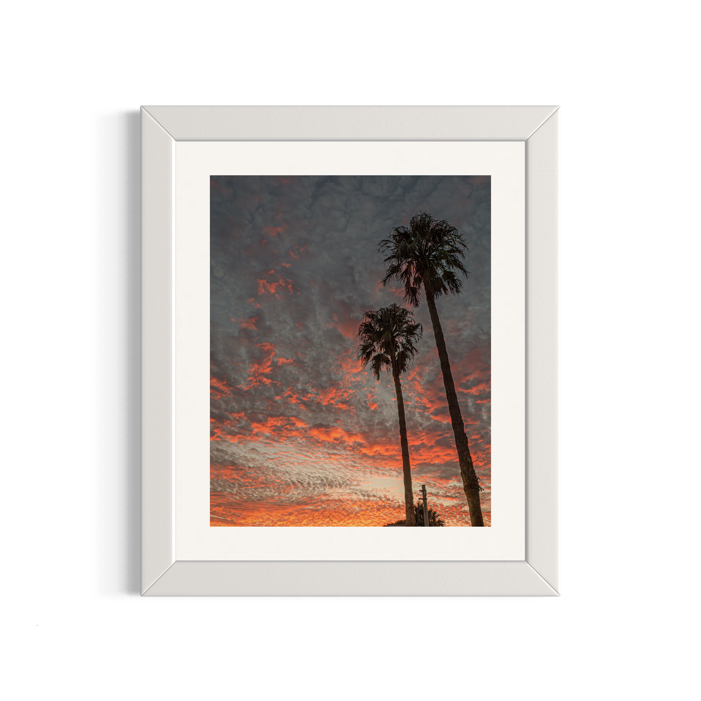 NOMO NOPRO 50 x 60 cm / Cadre Bois Blanc Tirage "PALMTREES" L'Almanarre n°6