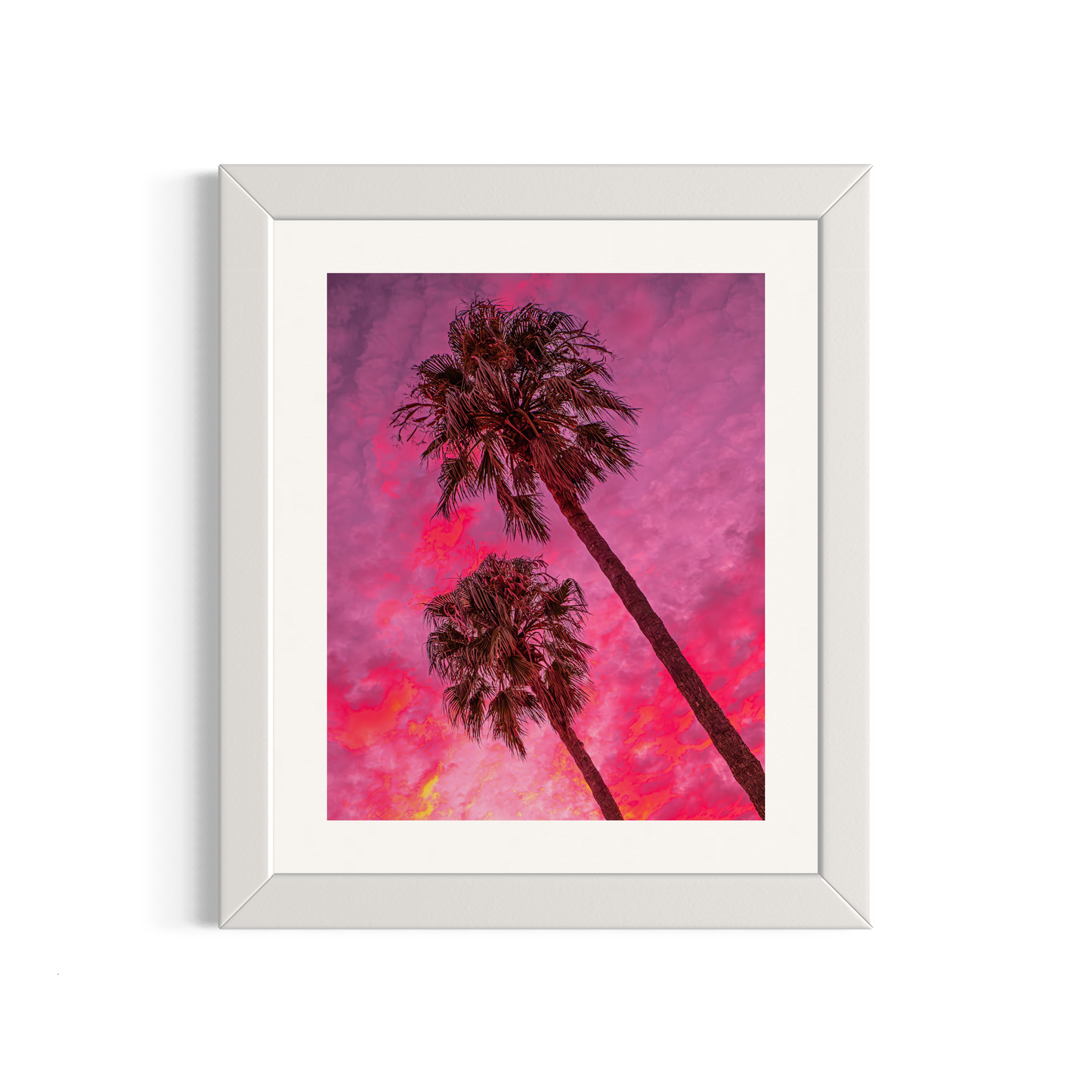 NOMO NOPRO 50 x 60 cm / Cadre Bois Blanc Tirage "PALMTREES" L'Almanarre n°8