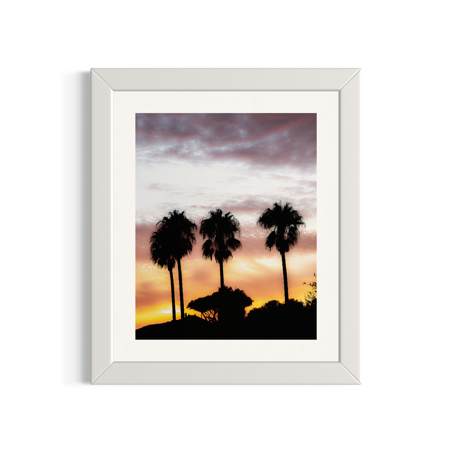 NOMO NOPRO 50 x 60 cm / Cadre Bois Blanc Tirage "PALMTREES" L'Almanarre n°9