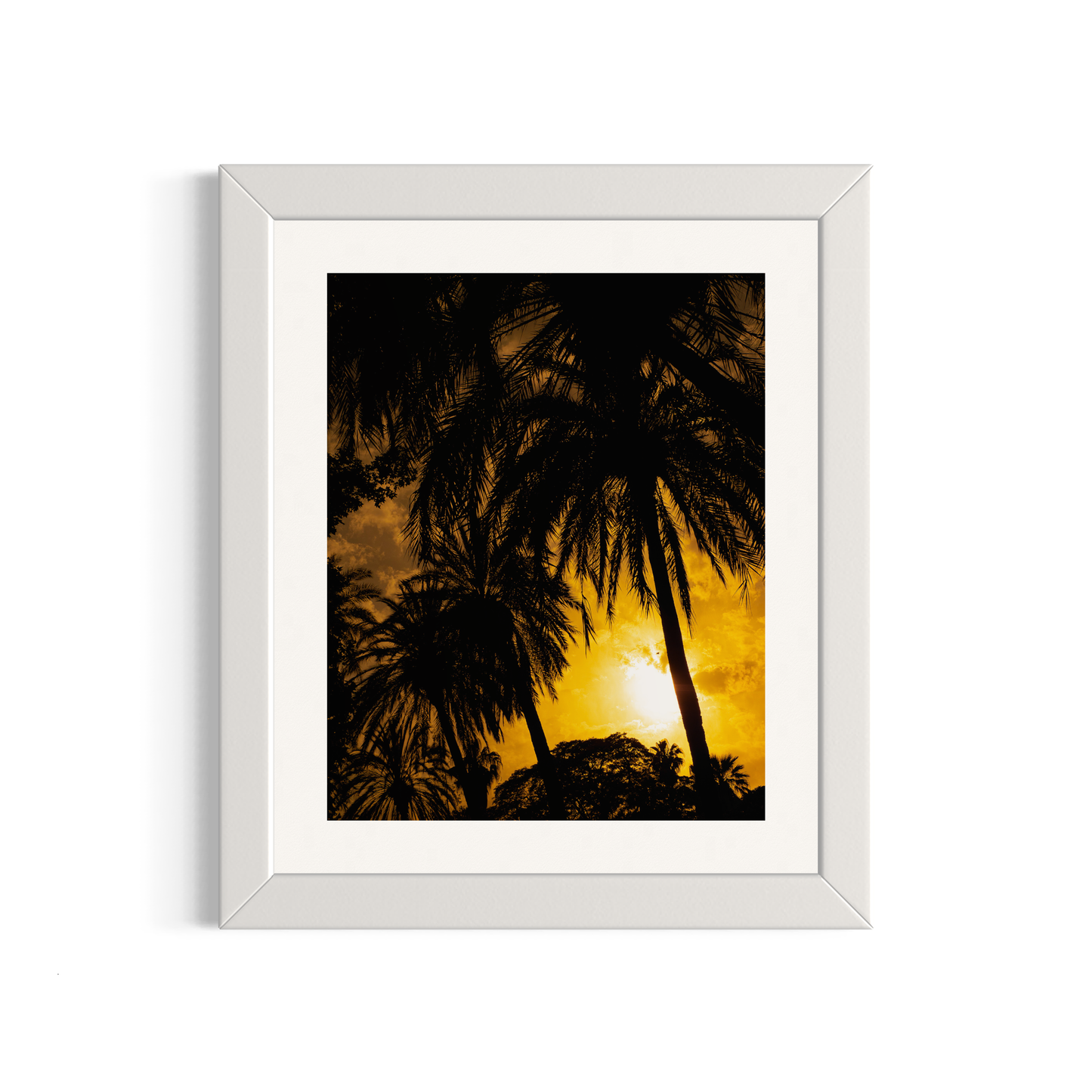 NOMO NOPRO 50 X 60 cm / Cadre Bois Blanc Tirage "PALMTREES" Málaga n°1