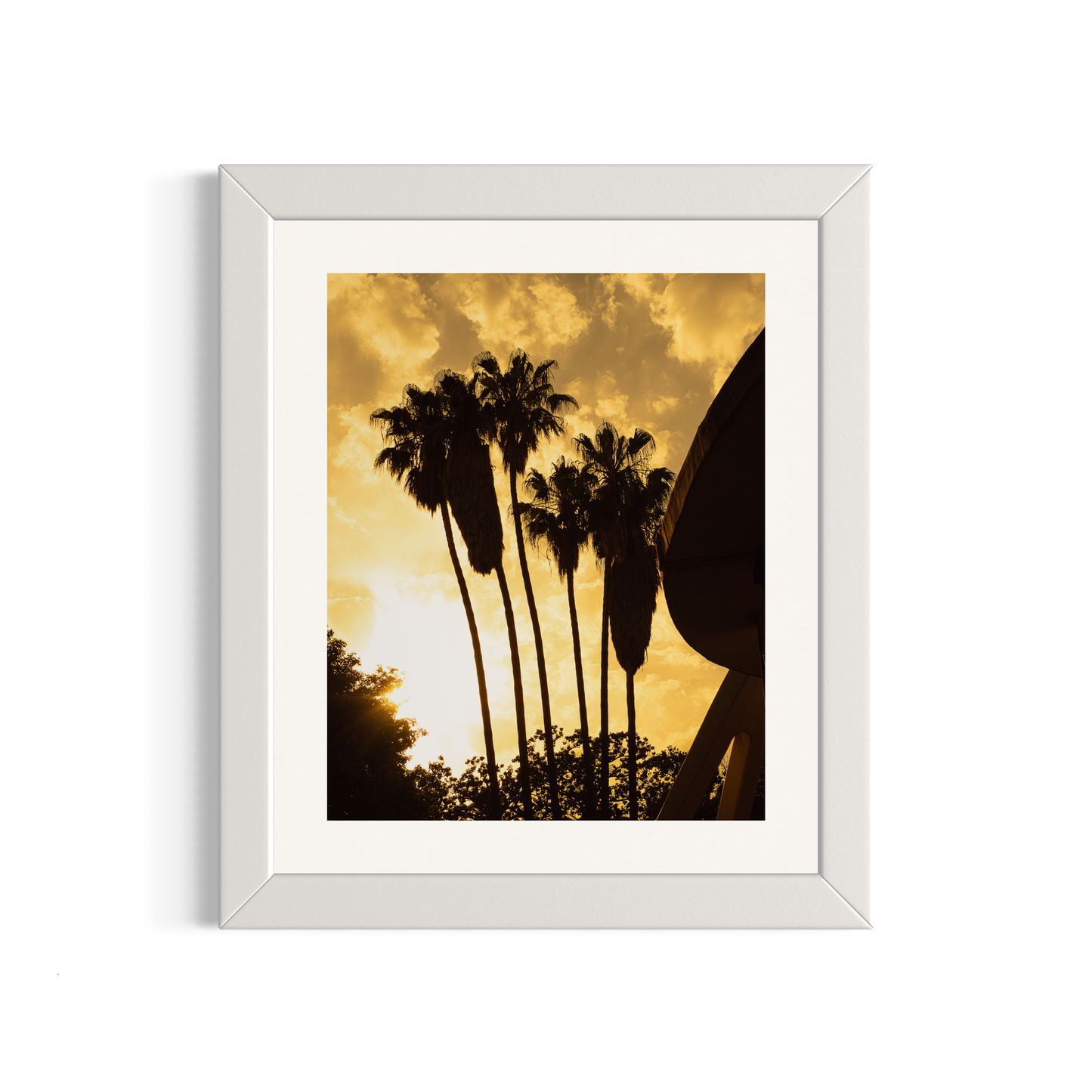 NOMO NOPRO 50 x 60 cm / Cadre Bois Blanc Tirage "PALMTREES" Málaga n°3