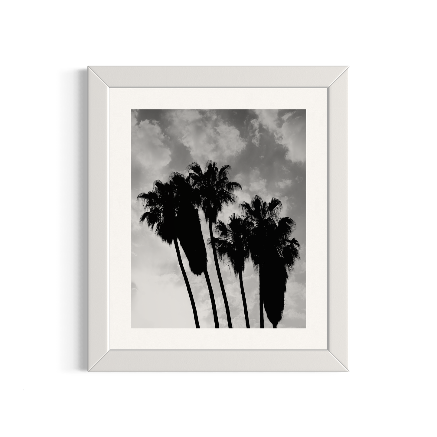 NOMO NOPRO 50 x 60 cm / Cadre Bois Blanc Tirage "PALMTREES" Málaga n°4