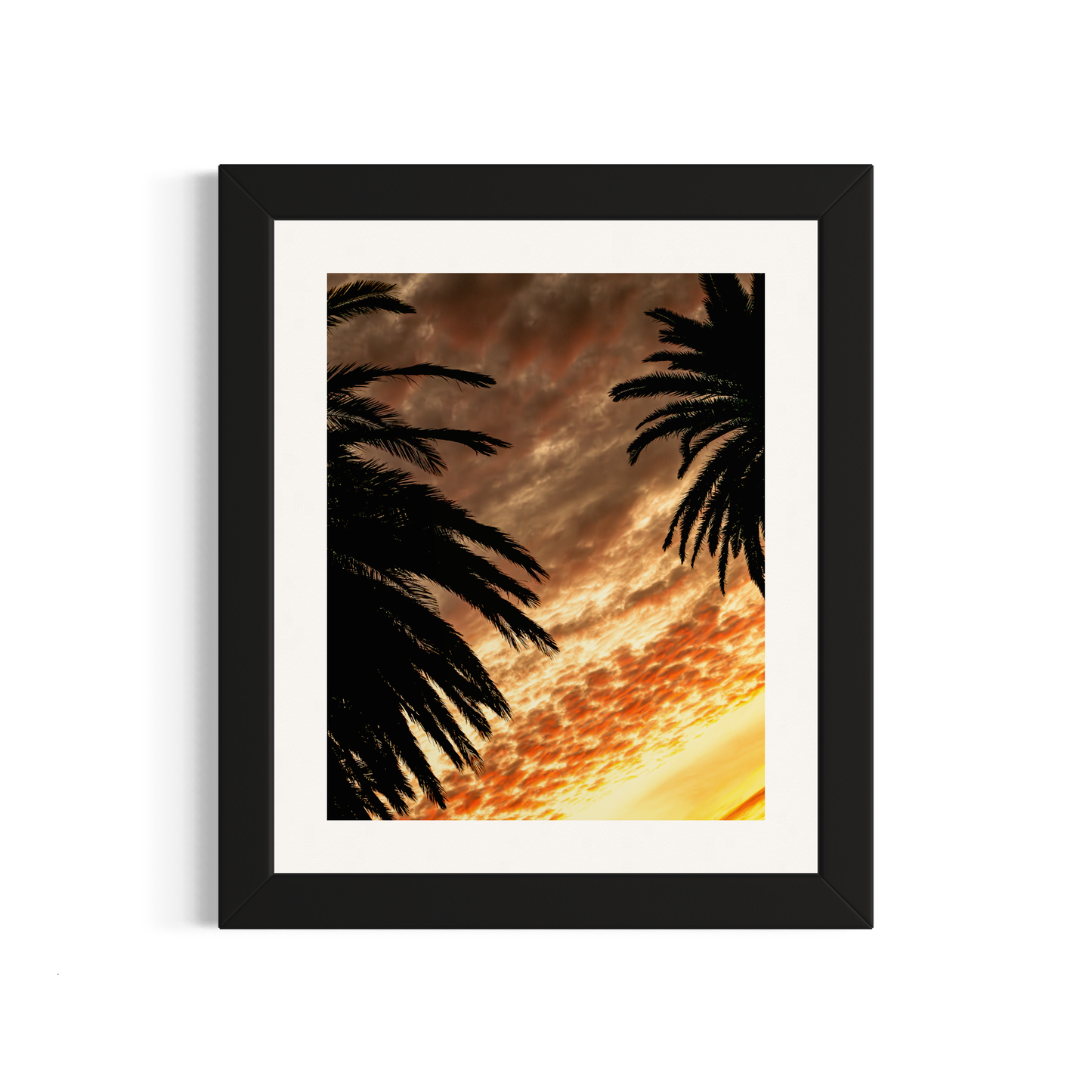 NOMO NOPRO 50 x 60 cm / Cadre Bois Noir Tirage "PALMTREES" L'Almanarre n°2