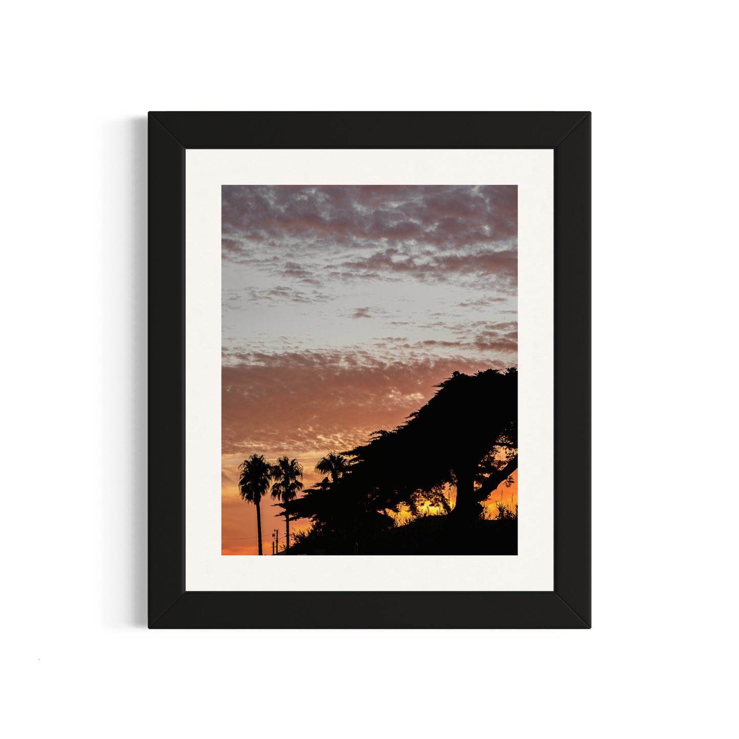 NOMO NOPRO 50 x 60 cm / Cadre Bois Noir Tirage "PALMTREES" L'Almanarre n°3