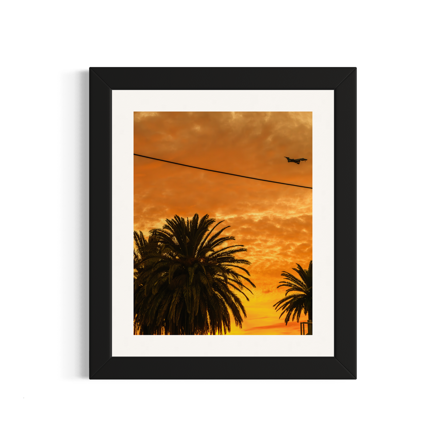 NOMO NOPRO 50 x 60 cm / Cadre Bois Noir Tirage "PALMTREES" L'Almanarre n°5