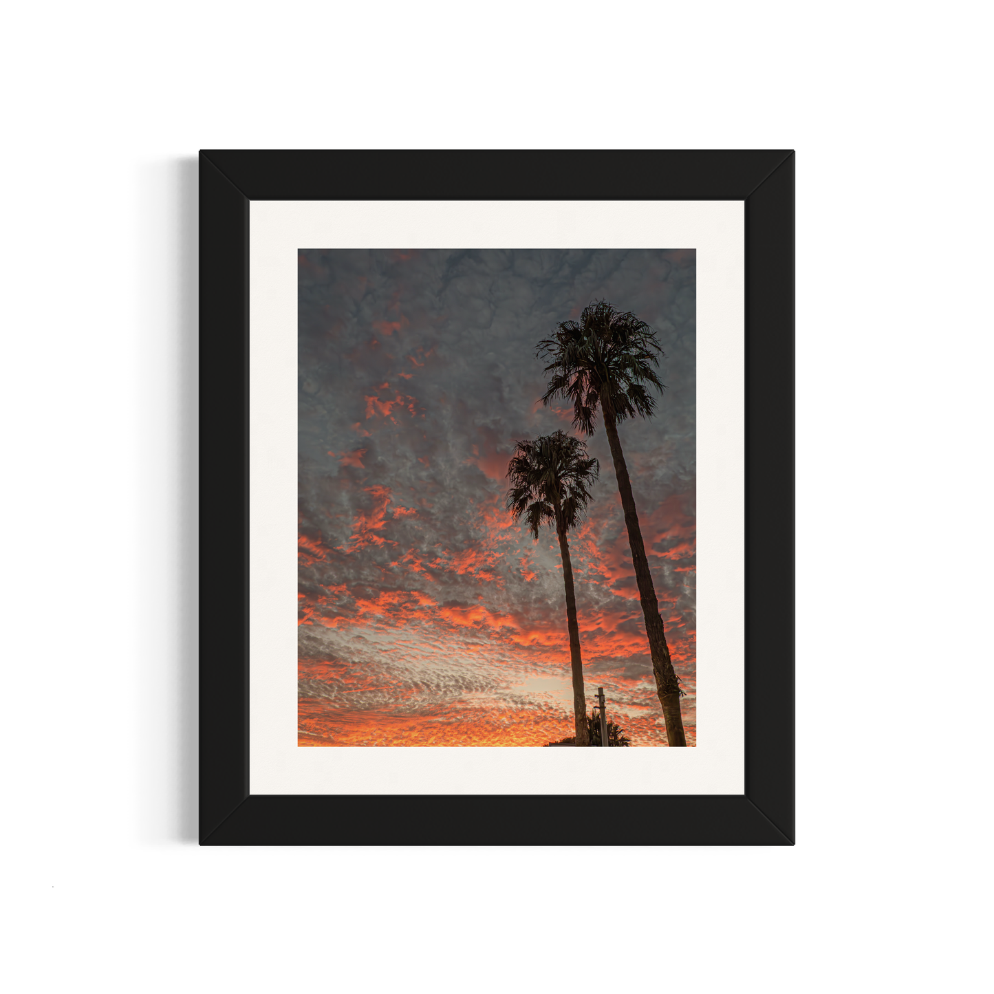 NOMO NOPRO 50 x 60 cm / Cadre Bois Noir Tirage "PALMTREES" L'Almanarre n°6