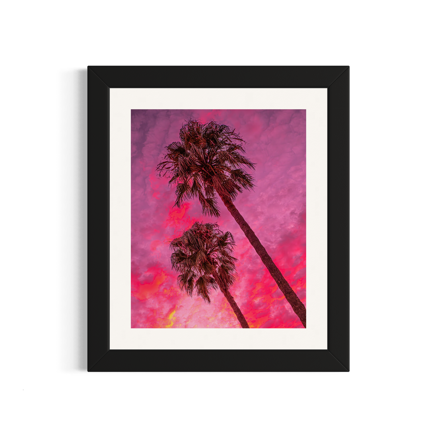NOMO NOPRO 50 x 60 cm / Cadre Bois Noir Tirage "PALMTREES" L'Almanarre n°8