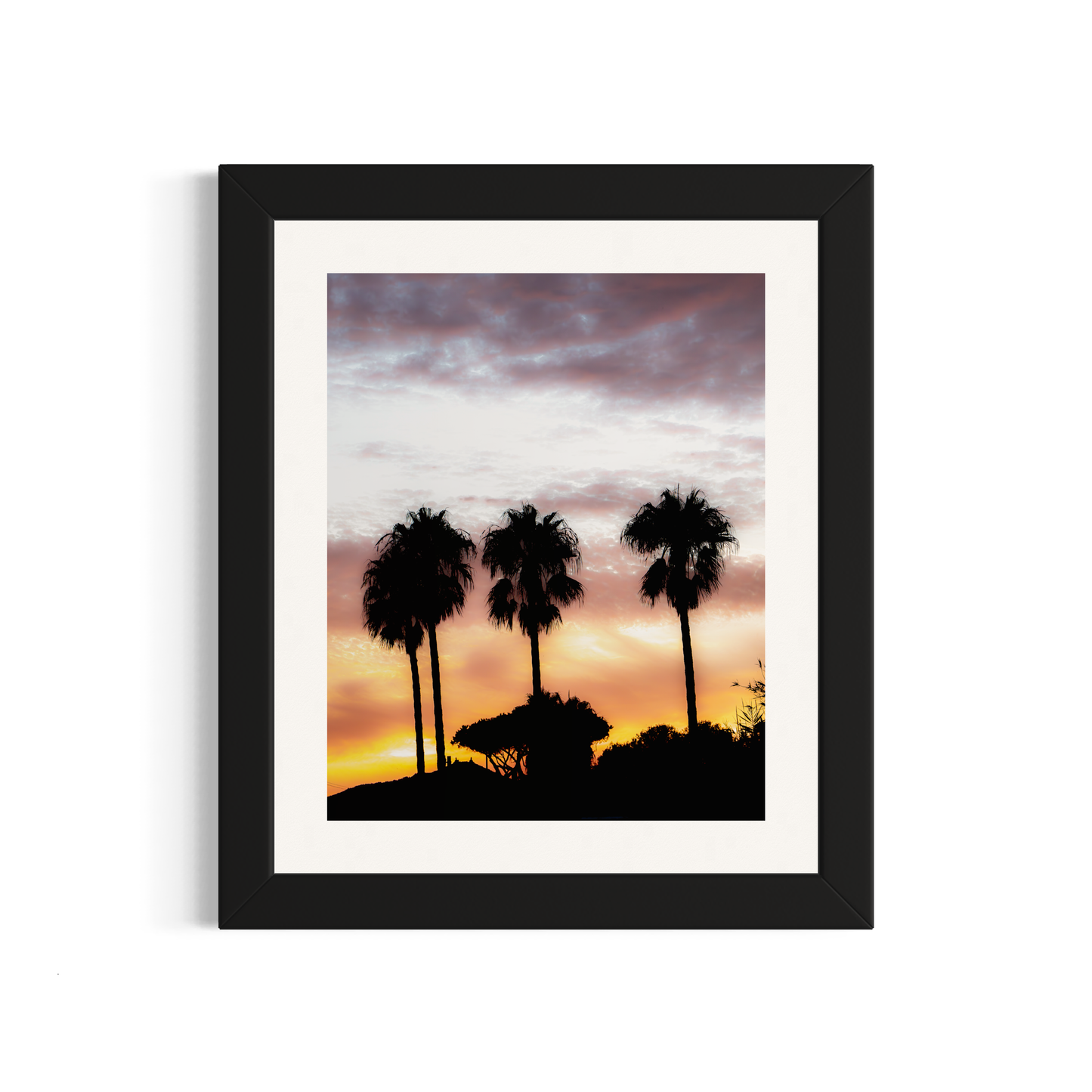 NOMO NOPRO 50 x 60 cm / Cadre Bois Noir Tirage "PALMTREES" L'Almanarre n°9