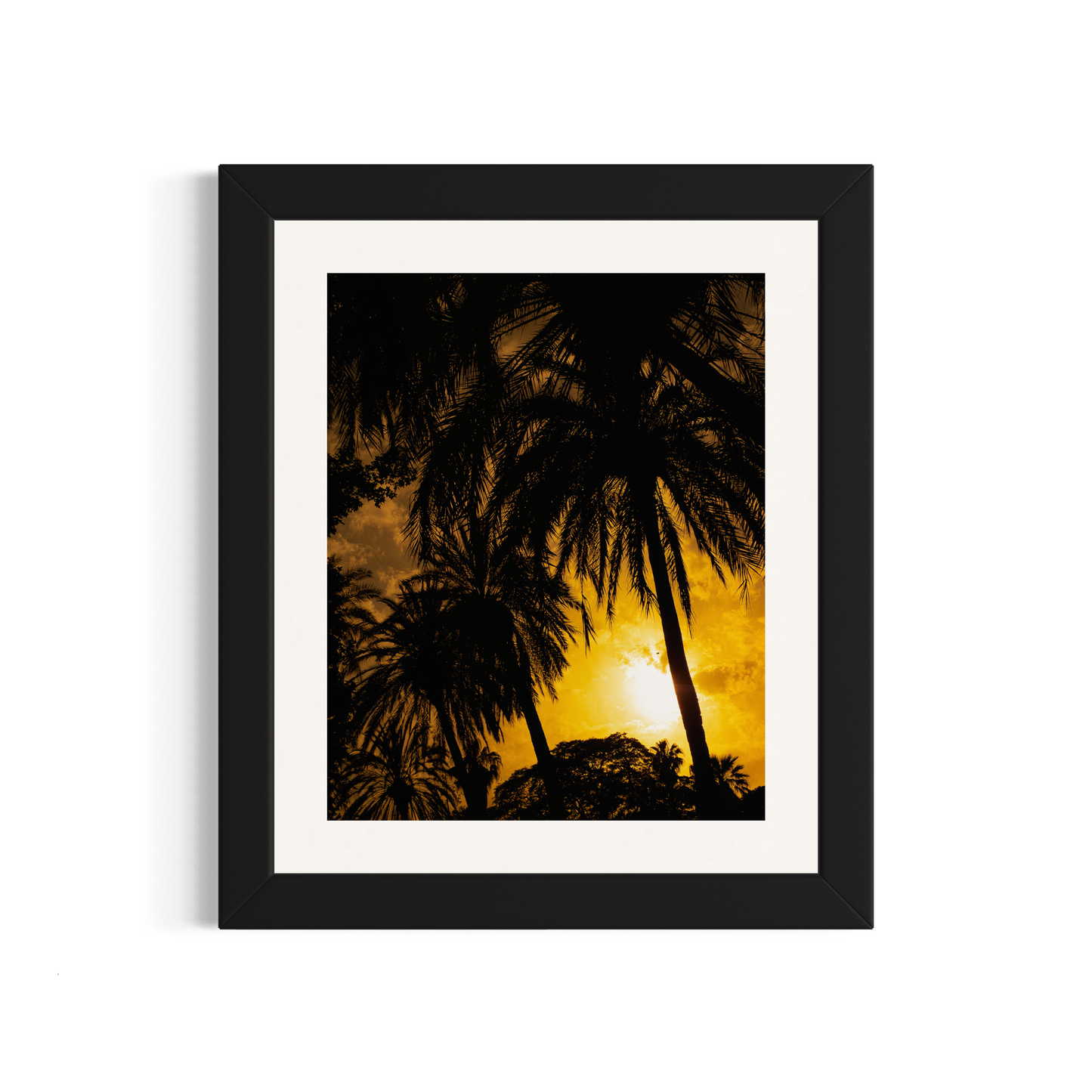 NOMO NOPRO 50 X 60 cm / Cadre Bois Noir Tirage "PALMTREES" Málaga n°1