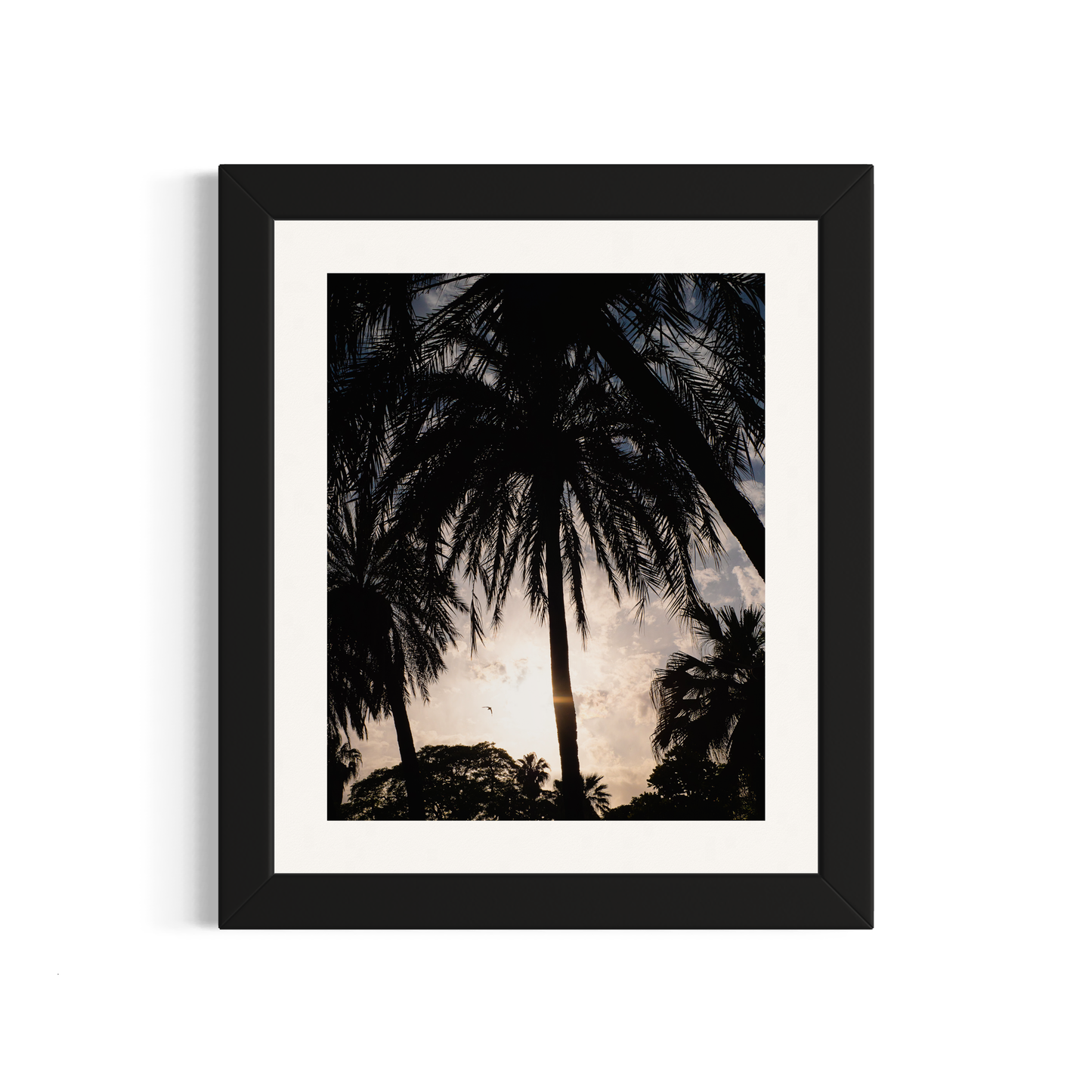 NOMO NOPRO 50 x 60 cm / Cadre Bois Noir Tirage "PALMTREES" Málaga n°2