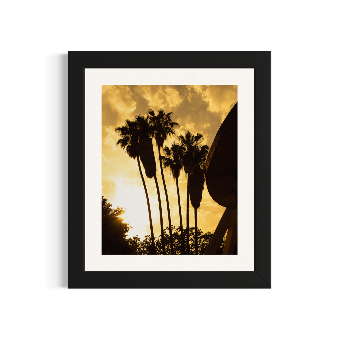 NOMO NOPRO 50 x 60 cm / Cadre Bois Noir Tirage "PALMTREES" Málaga n°3