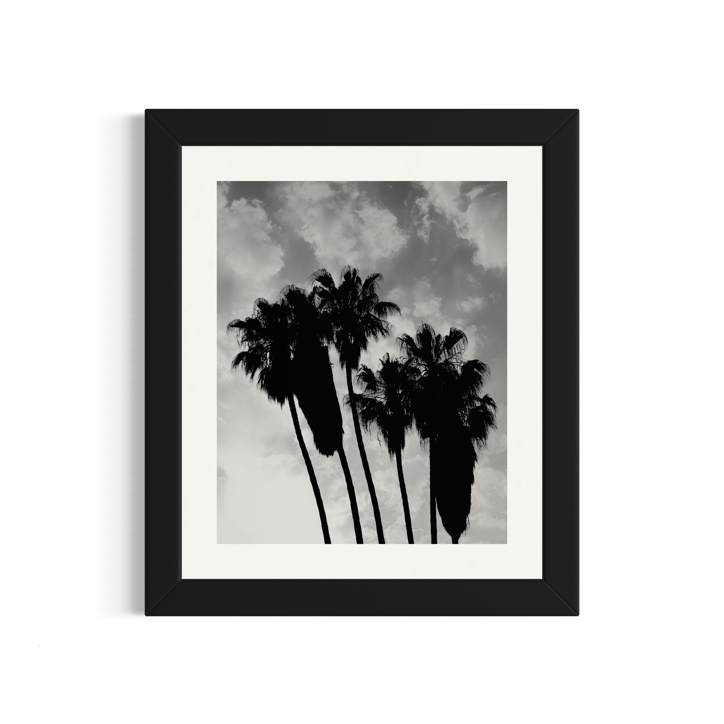 NOMO NOPRO 50 x 60 cm / Cadre Bois Noir Tirage "PALMTREES" Málaga n°4