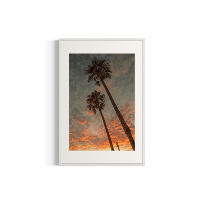 NOMO NOPRO 40 x 60 cm / Cadre Aluminium Blanc Tirage "PALMTREES" L'Almanarre n°1