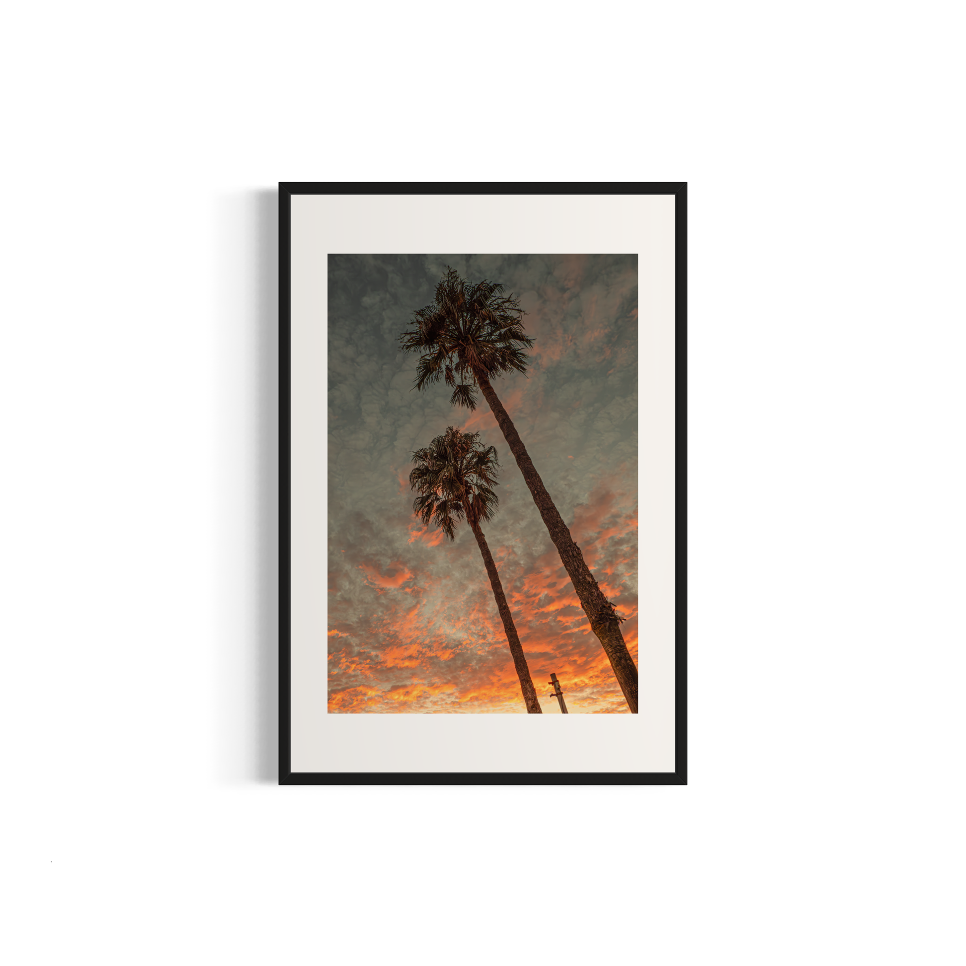 NOMO NOPRO 40 x 60 cm / Cadre Aluminium Noir Tirage "PALMTREES" L'Almanarre n°1