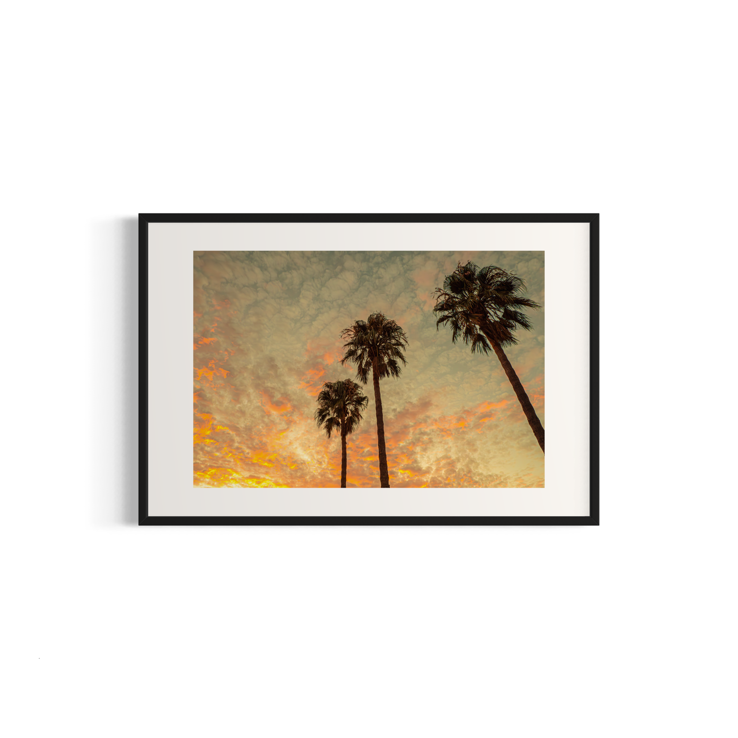 NOMO NOPRO 40 x 60 cm / Cadre Aluminium Noir Tirage "PALMTREES" L'Almanarre n°7