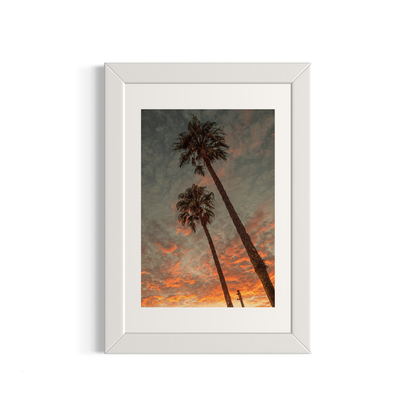 NOMO NOPRO 40 x 60 cm / Cadre Bois Blanc Tirage "PALMTREES" L'Almanarre n°1