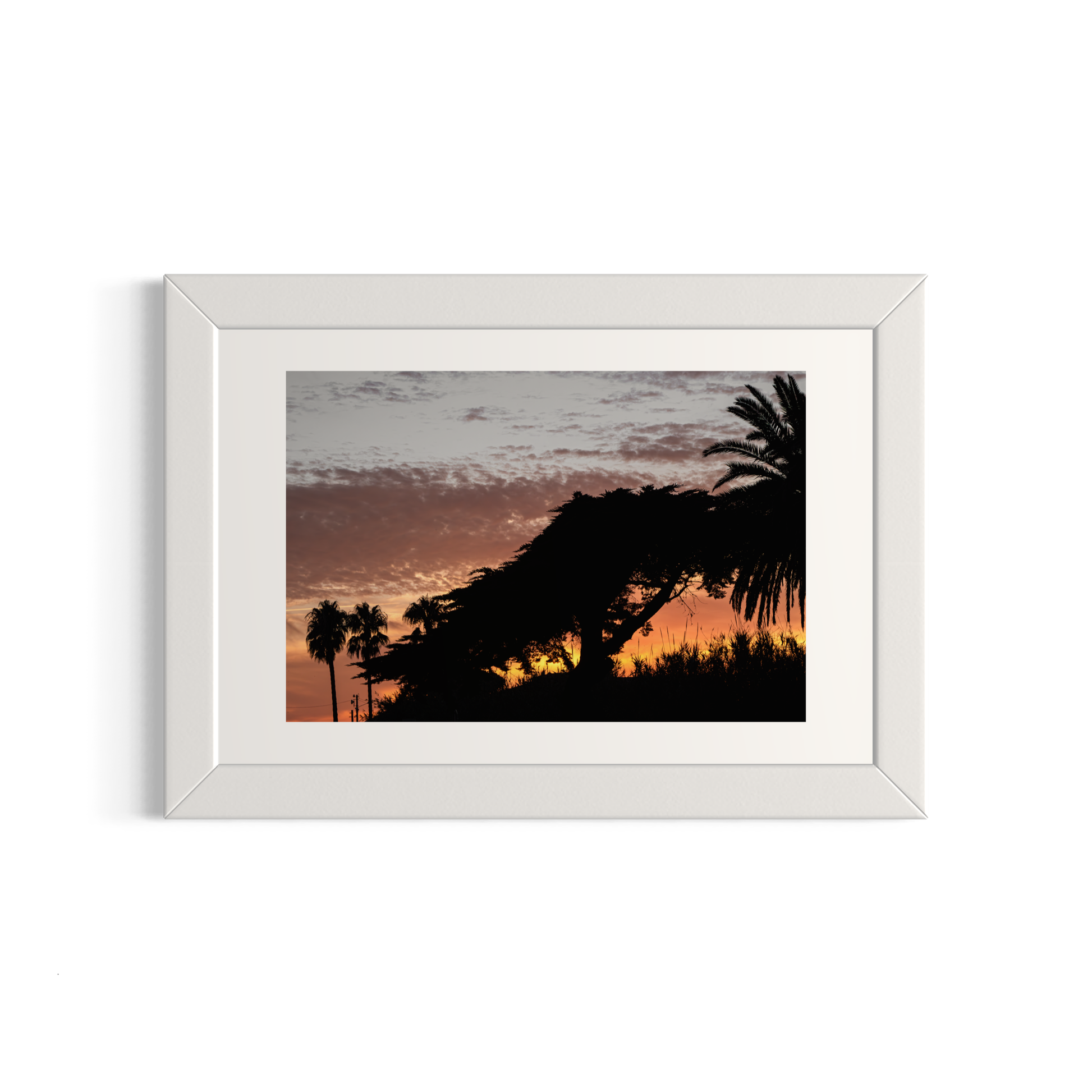 NOMO NOPRO 40 x 60 cm / Cadre Bois Blanc Tirage "PALMTREES" L'Almanarre n°4