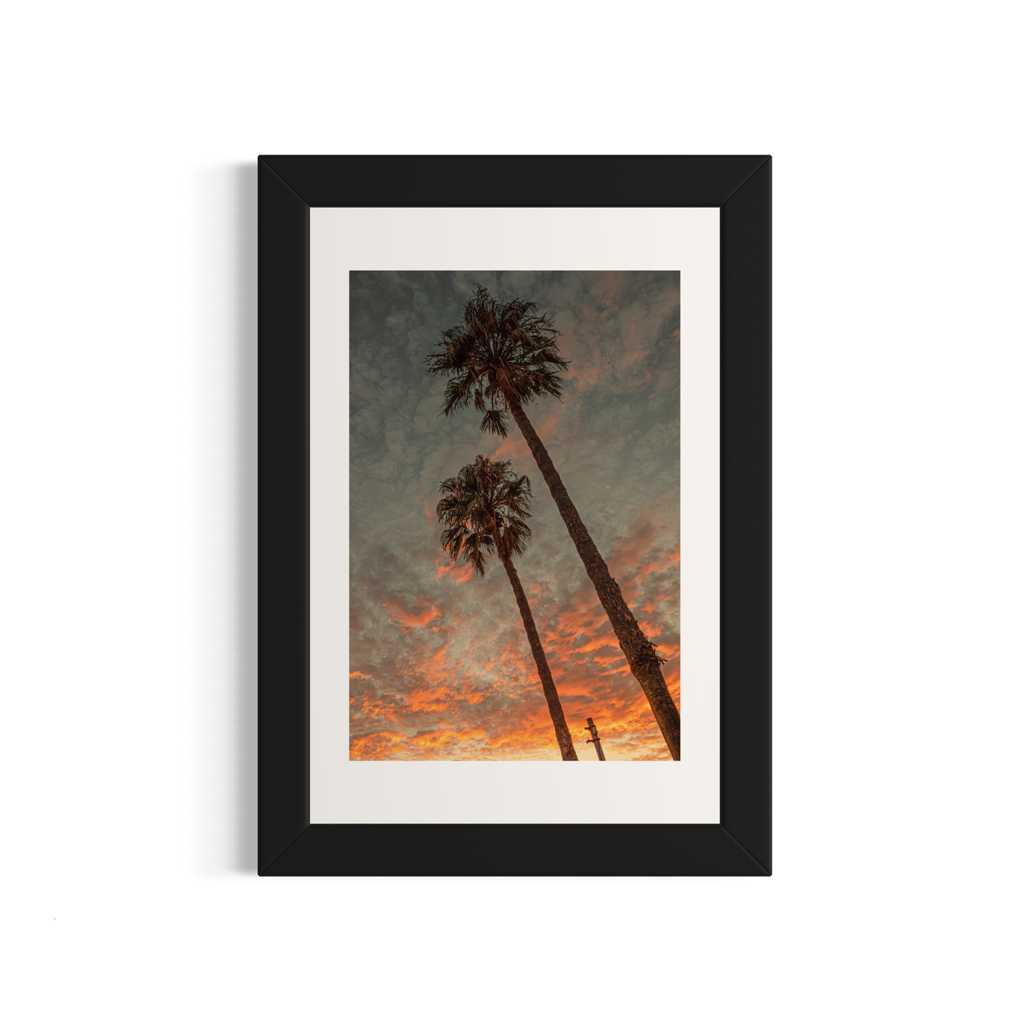 NOMO NOPRO 40 x 60 cm / Cadre Bois Noir Tirage "PALMTREES" L'Almanarre n°1