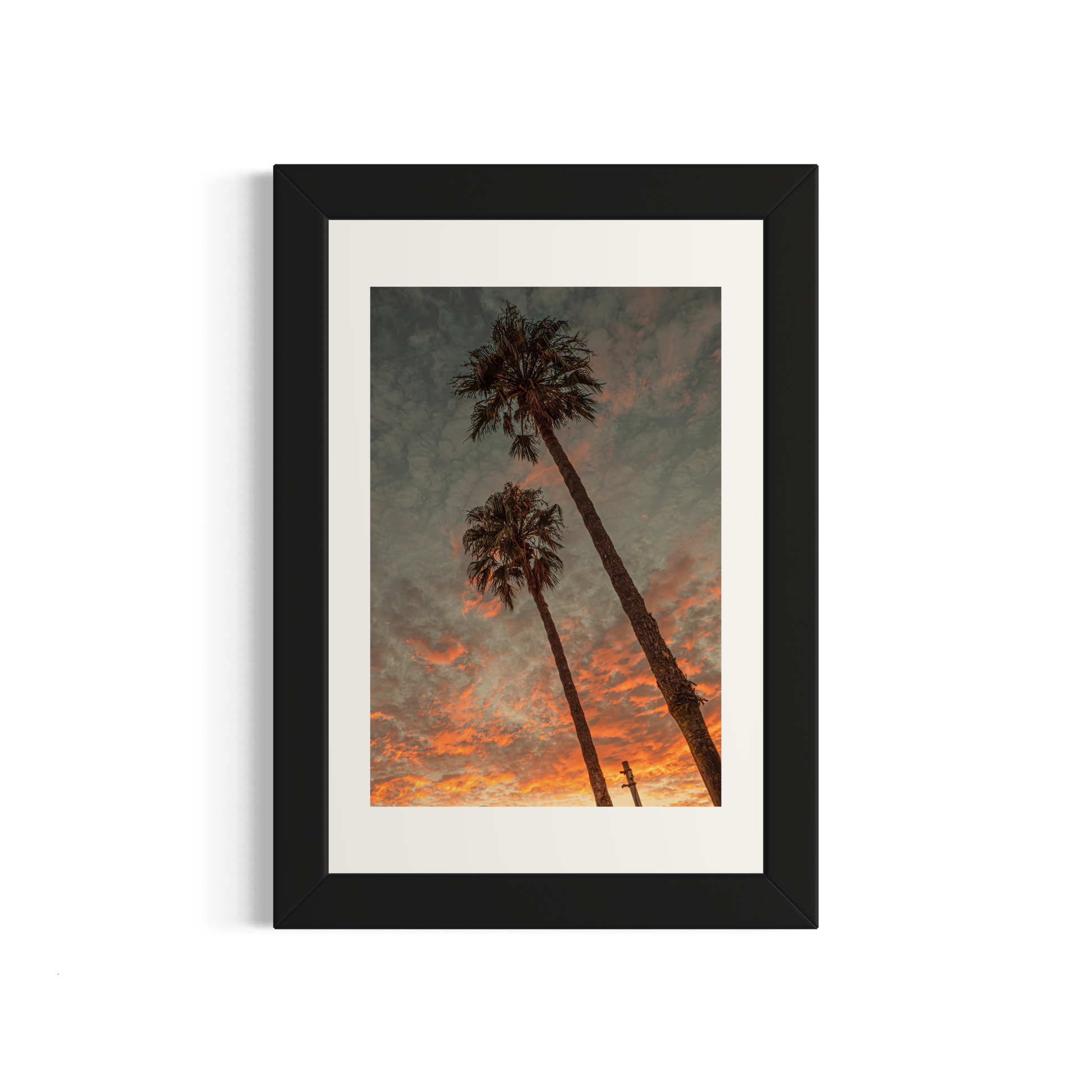 NOMO NOPRO 40 x 60 cm / Cadre Bois Noir Tirage "PALMTREES" L'Almanarre n°1