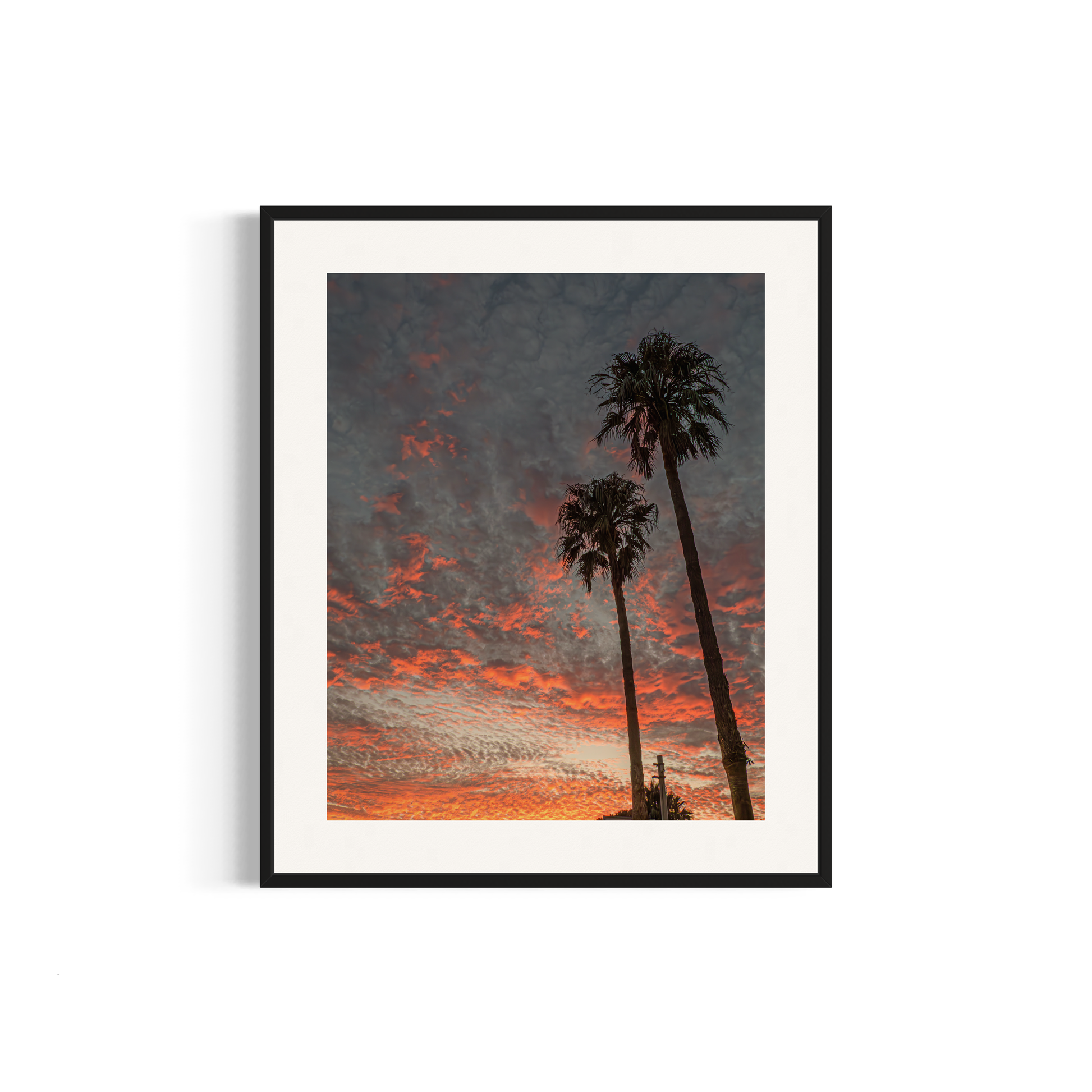 NOMO NOPRO 50 x 60 cm / Cadre Aluminium Noir Tirage "PALMTREES" L'Almanarre n°6