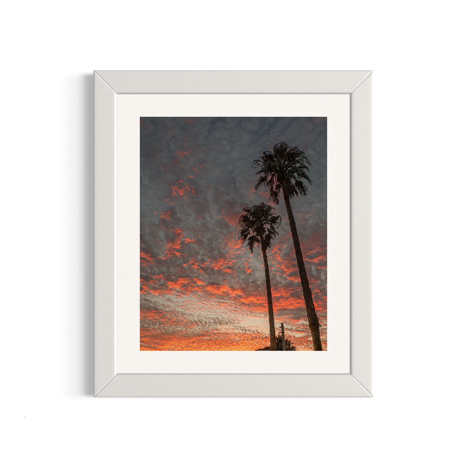 NOMO NOPRO 50 x 60 cm / Cadre Bois Blanc Tirage "PALMTREES" L'Almanarre n°6